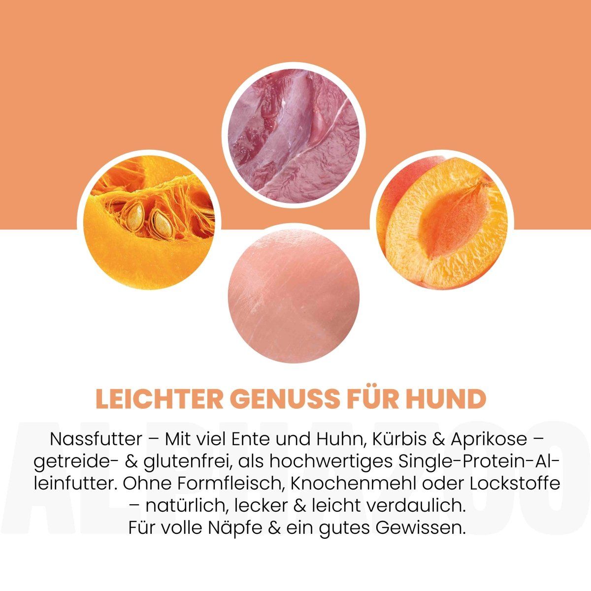Nahaufnahme von Kürbis, Pfirsich und Fleisch. Text: Leichter Genuss für Hunde. Getreide- & glutenfrei. Ohne Formfleisch, Knochenmehl.