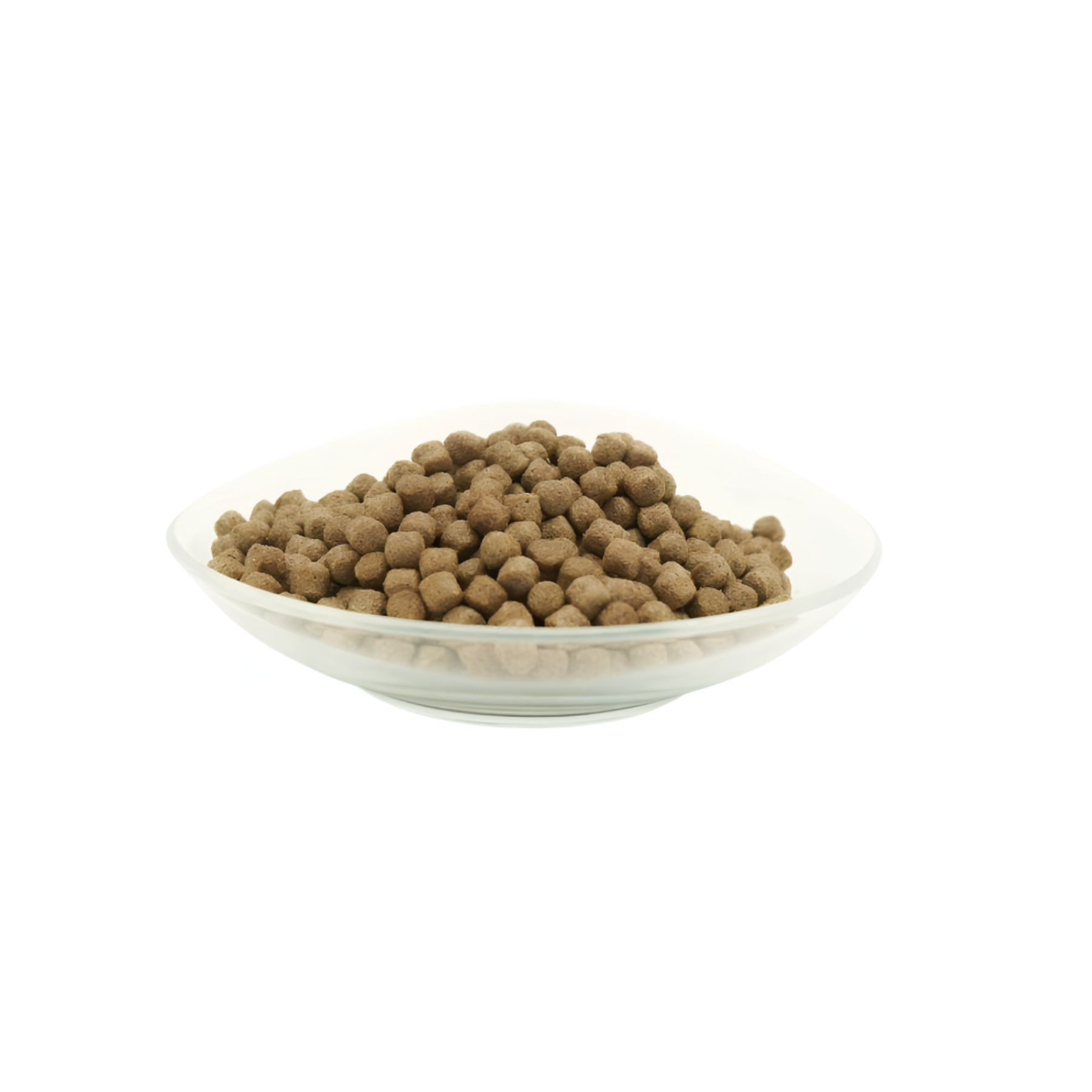 Kleine, braune Pellets in einer transparenten Schale. Futter für Koifische.