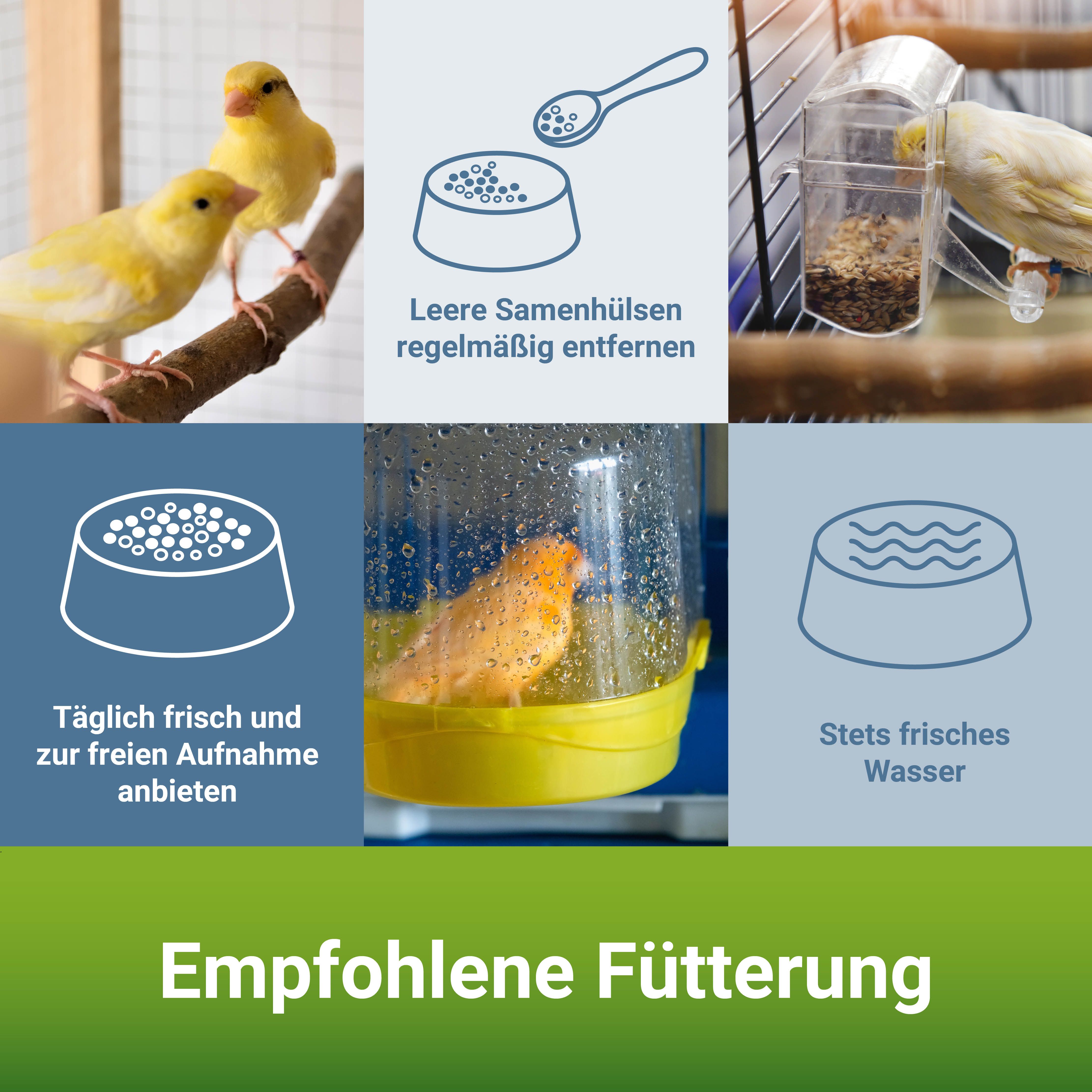 PANTO® Kanarienfutter mit Pluramin®