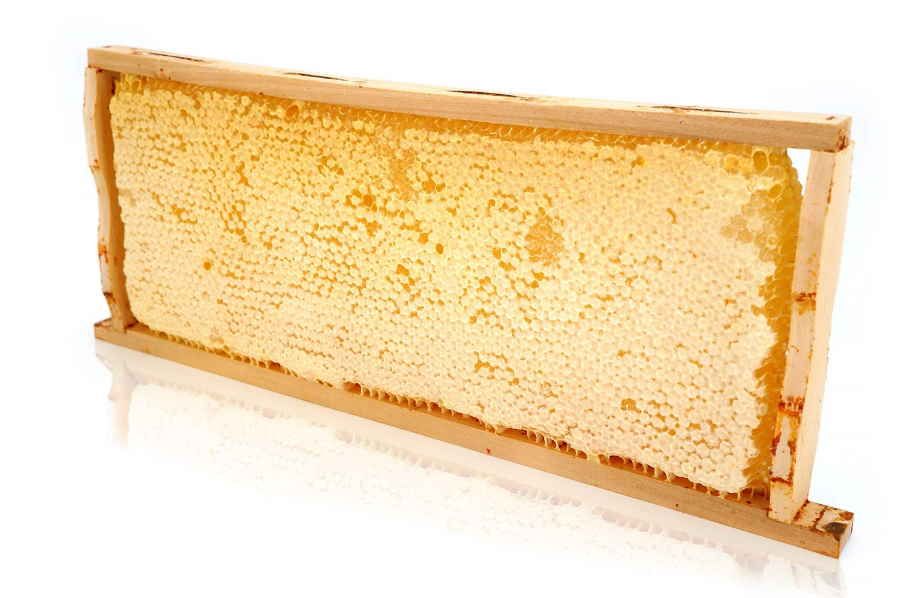 Ganzes Wabenrähmchen aus Holz, gefüllt mit Honigwaben. Perspektivische Ansicht, leicht schräg von oben.