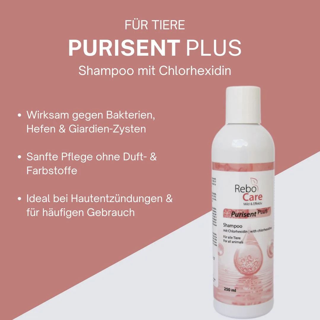 Puristicent Plus Shampoo mit Chlorhexidin für Tiere. Sanfte Pflege ohne Duft- & Farbstoffe.