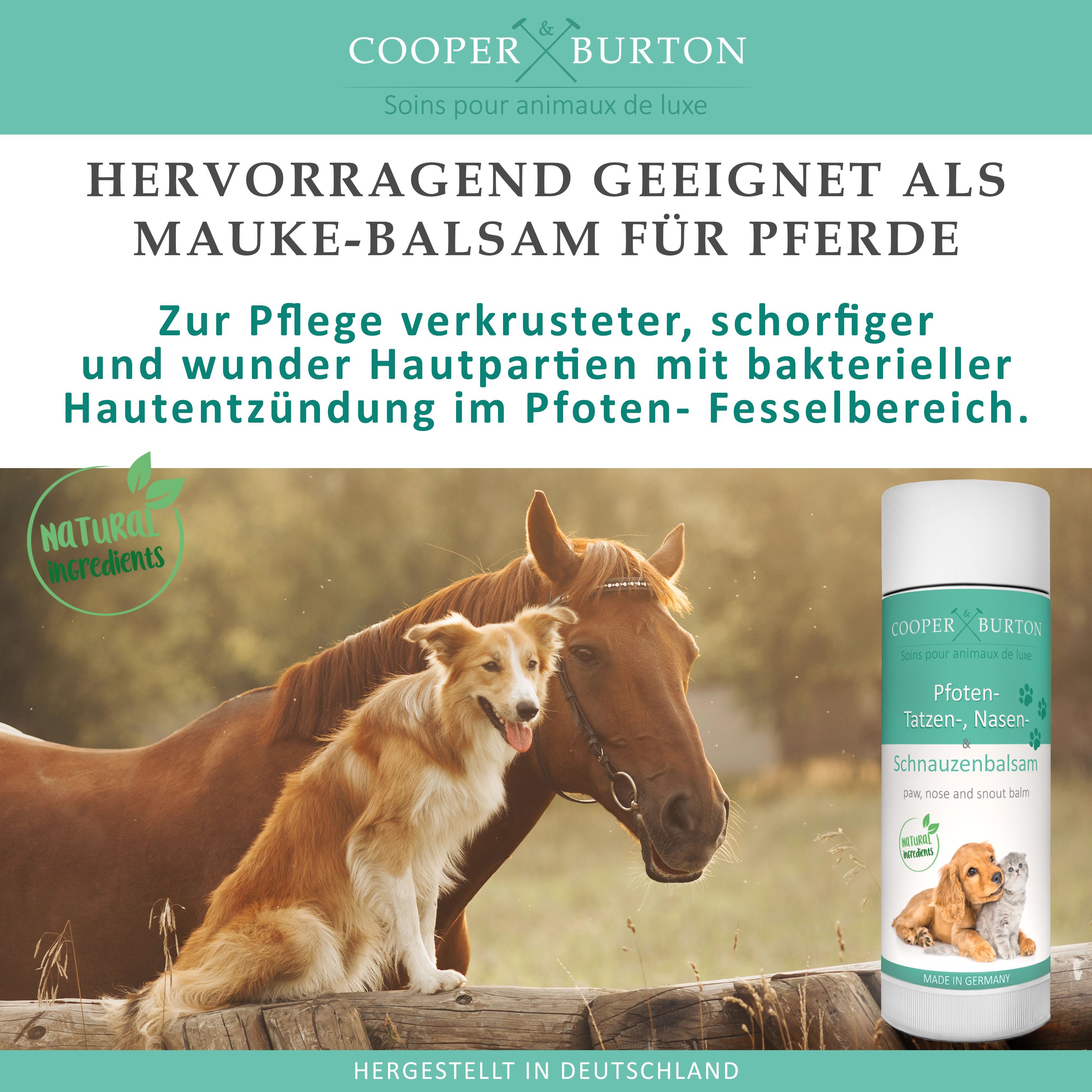 Produkt mit Pferd und Hund. Text: Hervorragend geeignet als Mauke-Balsam für Pferde. Natürliche Inhaltsstoffe. Hergestellt in Deutschland. Produktverpackung.