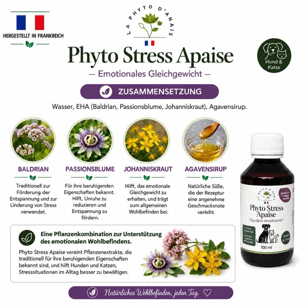 Phyto Détox Flasche mit 100ml, für Hunde und Katzen, für Leber und Nieren im Gleichgewicht.