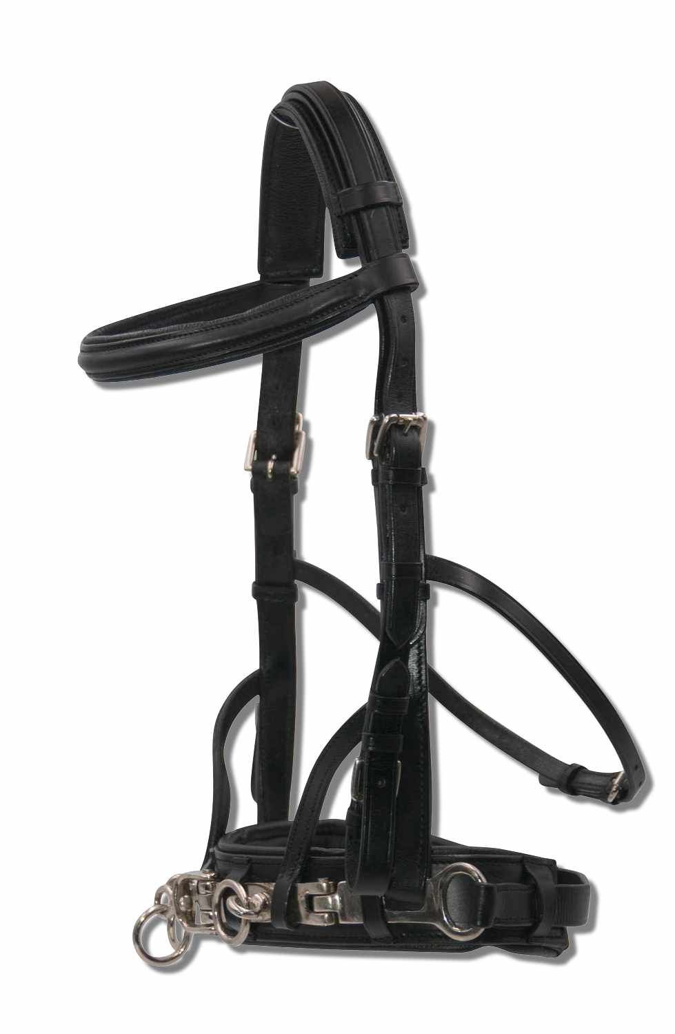 Schwarzer Kappzaum mit Metallbeschlägen und Ringen. Seitenansicht.