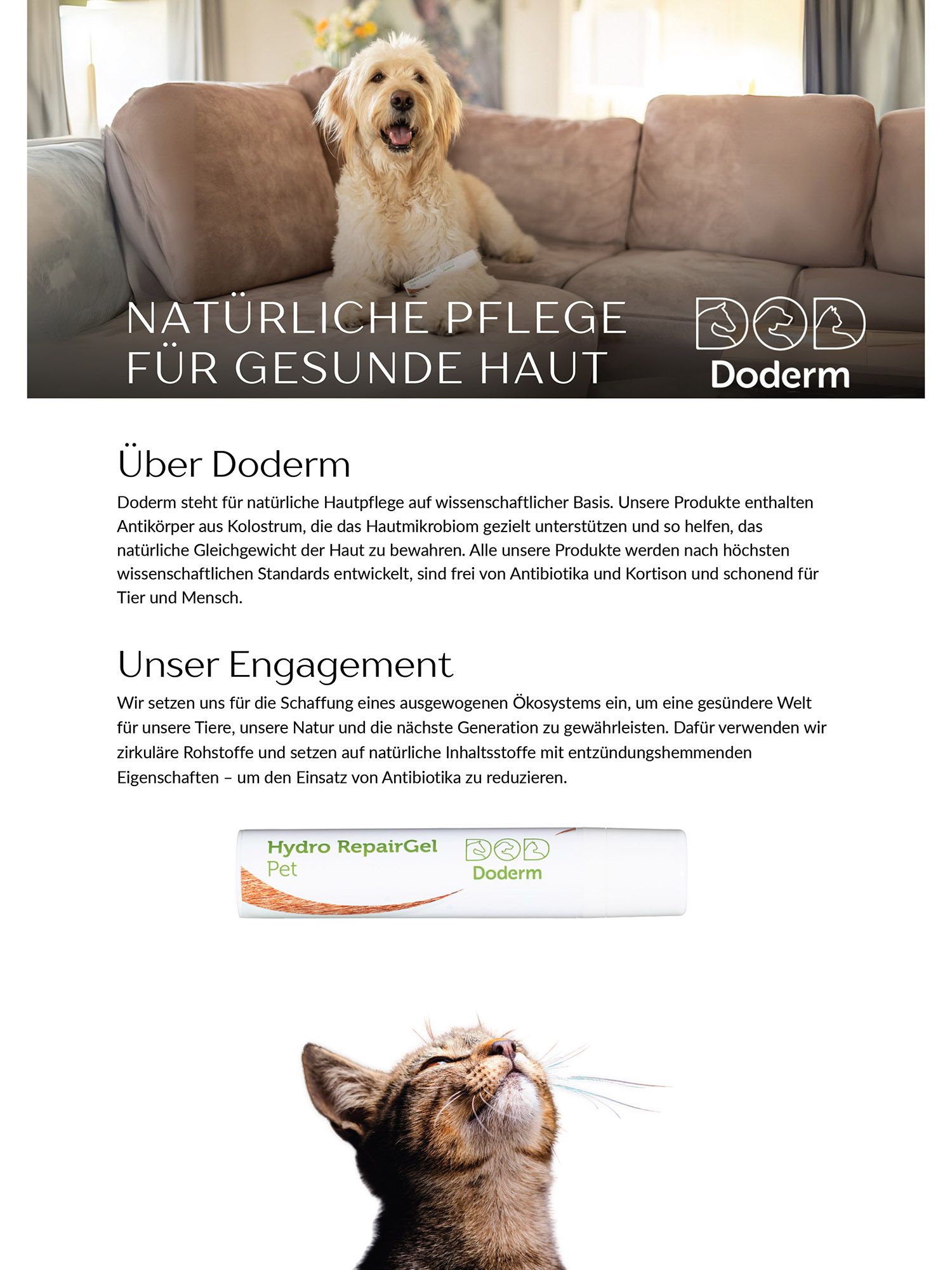 Doderm RepairGel Pet