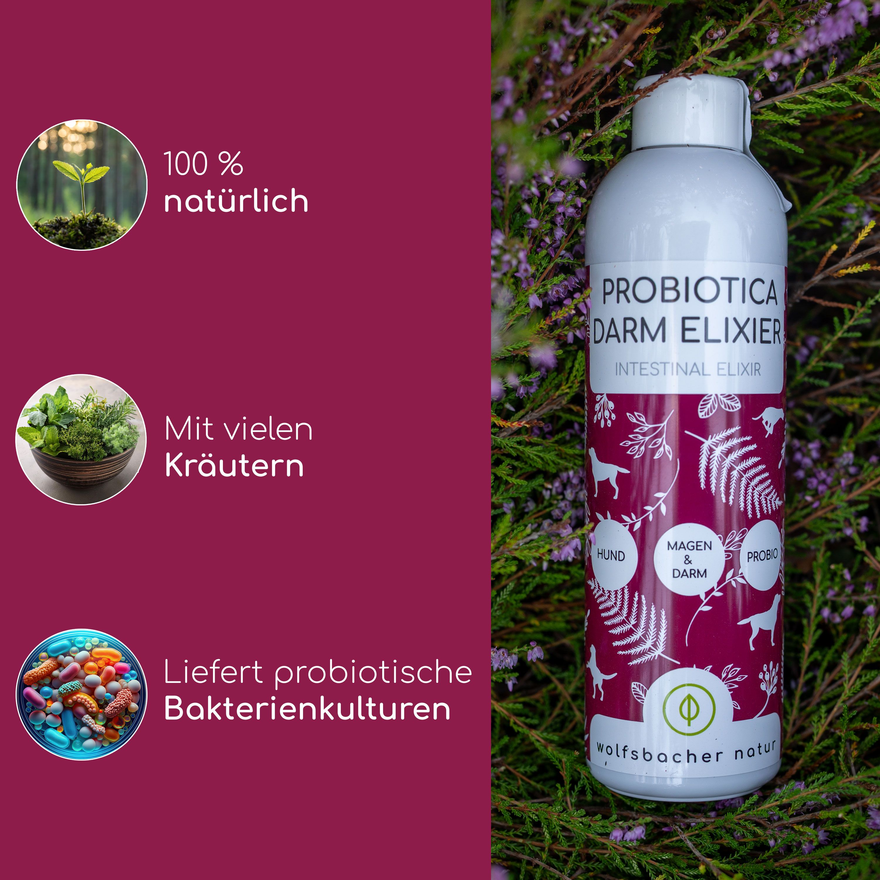 Flasche mit Etikett: Probiotica Darm Elixier. Grafiken: 100% natürlich, Kräuter, probiotische Bakterienkulturen. Hintergrund: Pflanzen.