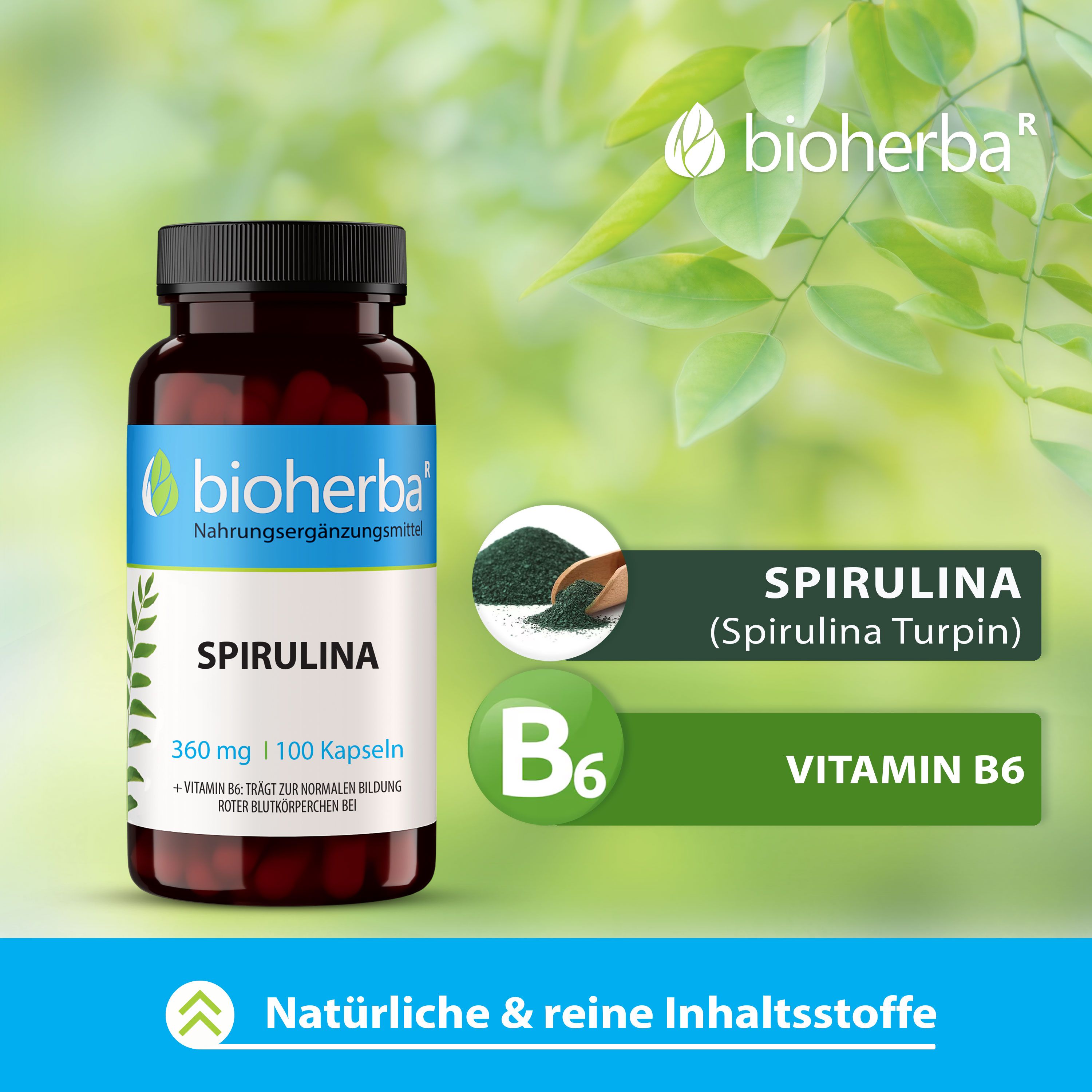 Bioherba Spirulina Kapseln. Braune Flasche mit 100 Kapseln. Text: Spirulina 360 mg. Grünpflanzen-Hintergrund.