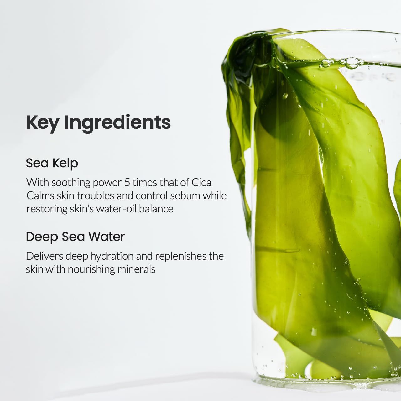Glas mit Seetang und Tiefseewasser. Text: Key Ingredients. Sea Kelp, Deep Sea Water.