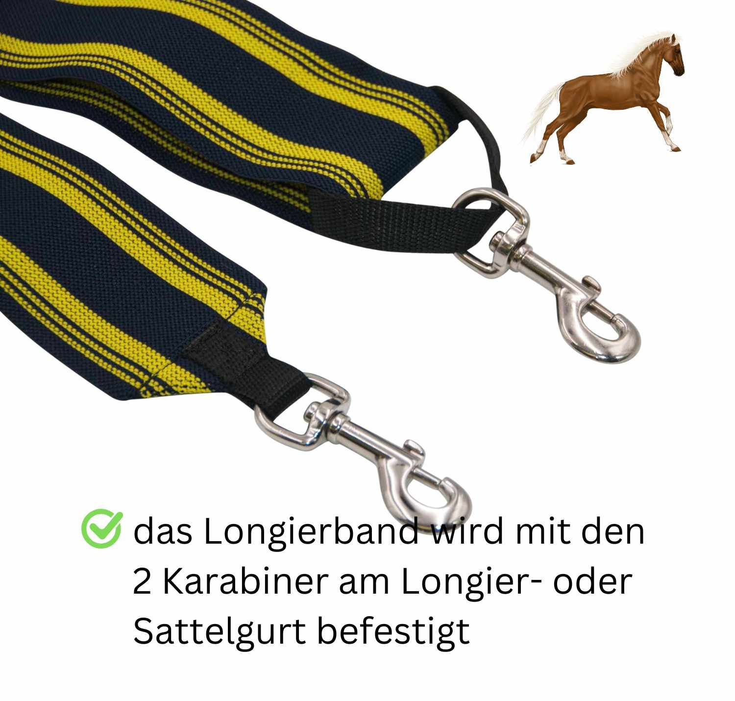 Blau-gelbes Longierband mit zwei Karabinern. Streifenmuster. Text: Das Longierband wird mit den 2 Karabiner am Longier- oder Sattelgurt befestigt.