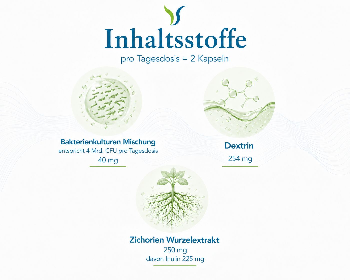 Grafik mit Inhaltsstoffen von Vitalsee VITABIOTICA 12 opus magnum: Bakterienkulturen, Dextrin, Zichorienwurzelextrakt.
