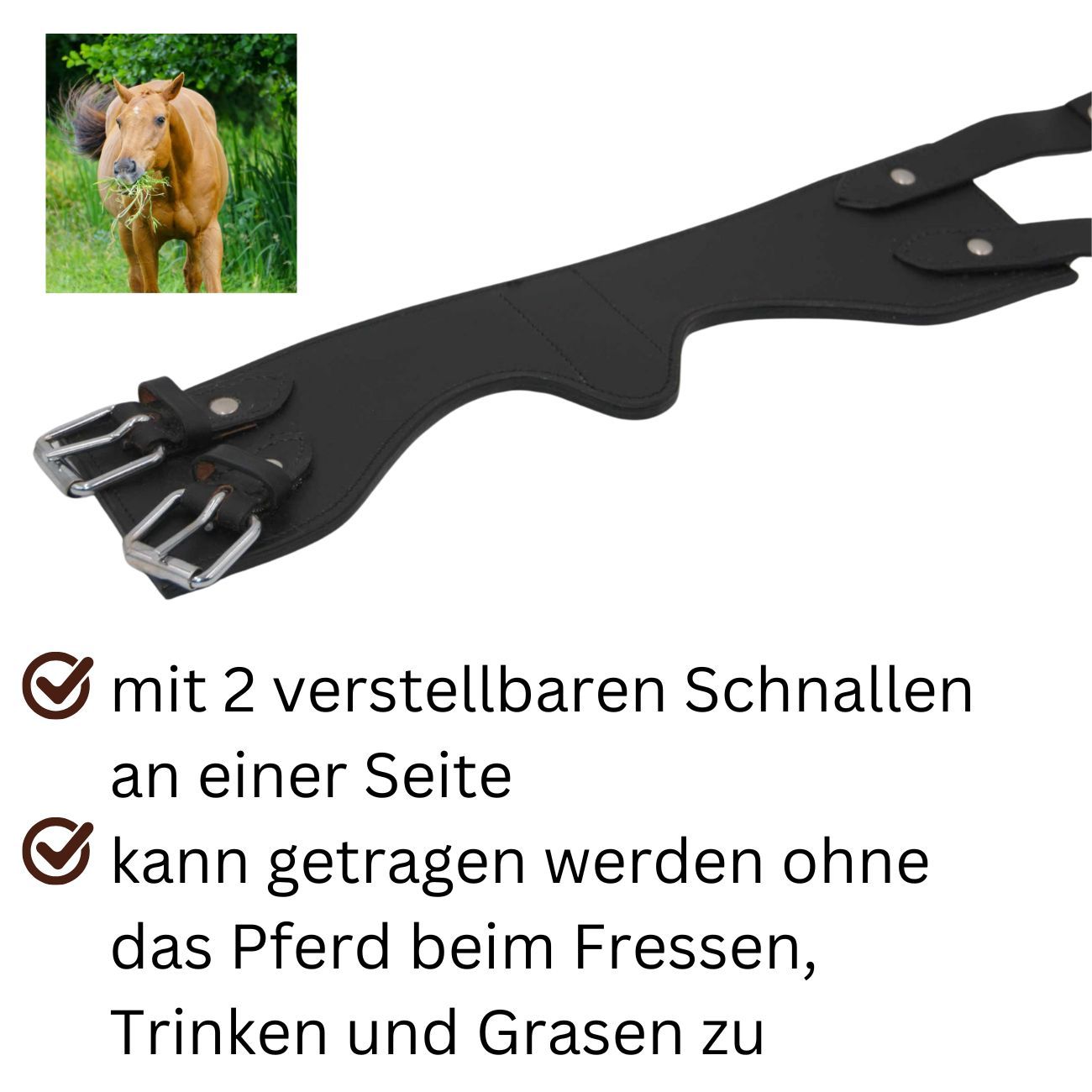 Schwarzer Kopperriemen mit zwei verstellbaren Schnallen. Text: kann getragen werden ohne das Pferd beim Fressen, Trinken und Grasen zu.