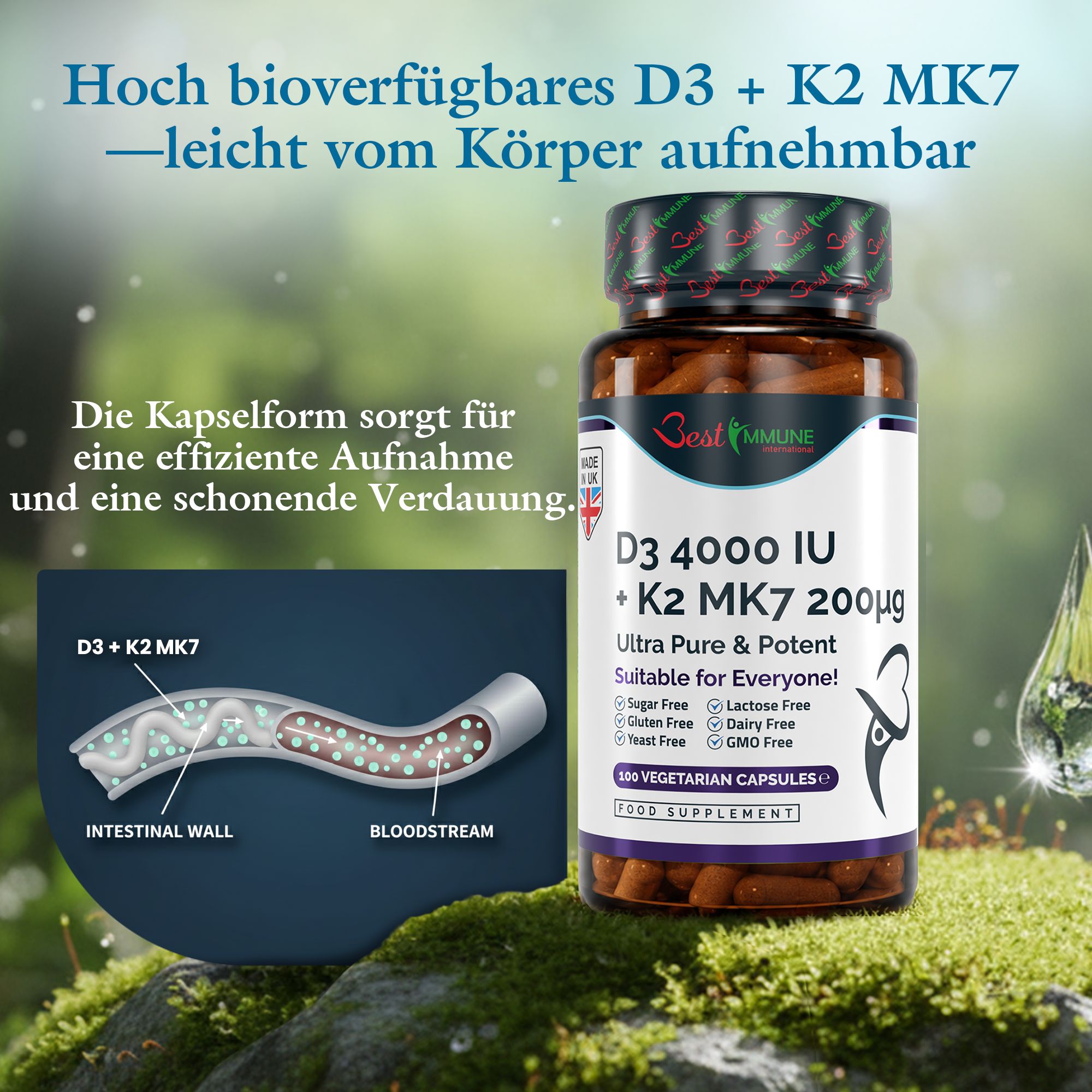 Flasche D3 + K2 MK7 Kapseln und schematische Darstellung der Aufnahme im Darm.