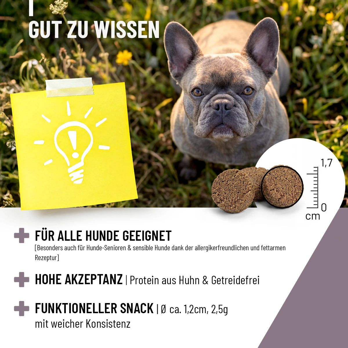 Hund und zwei Drops. Text: Gut zu wissen. Für alle Hunde geeignet. Hohe Akzeptanz. Funktioneller Snack Ø ca. 1,2cm, 2,5g.