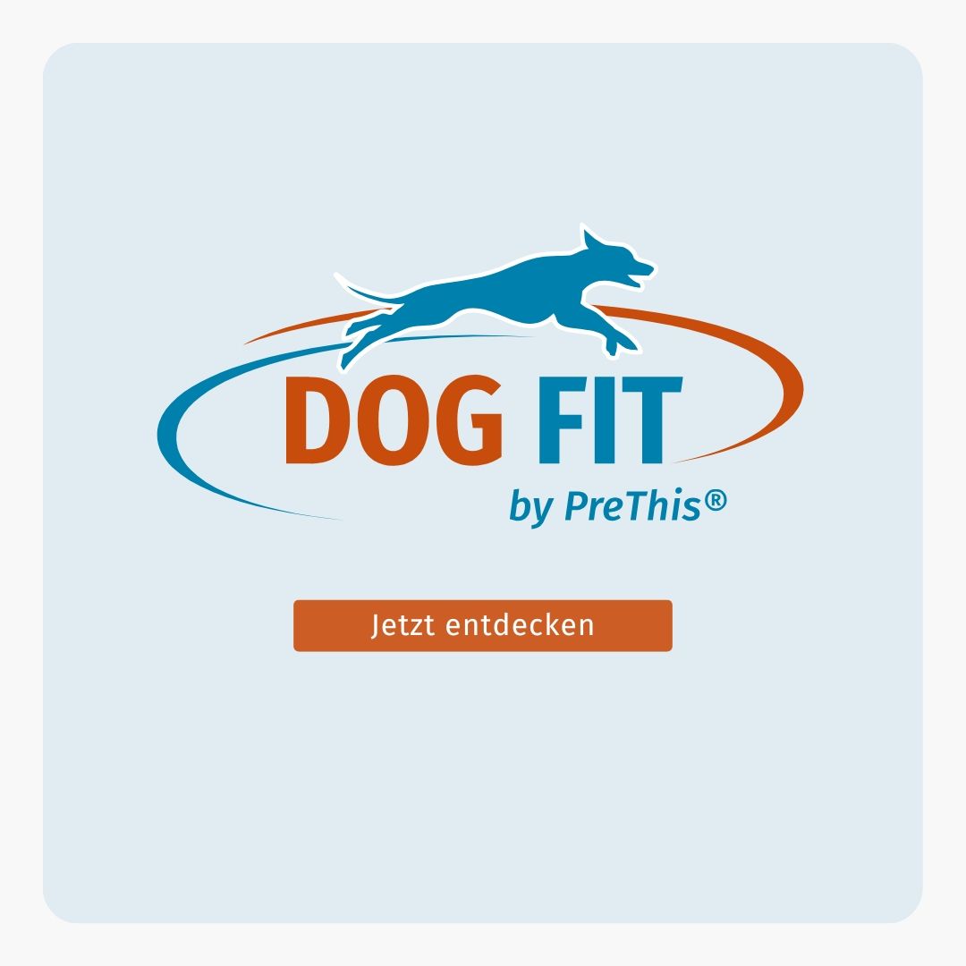 DOG FIT by PreThis® JOINTS & VITAMIN B Kombiset (small)