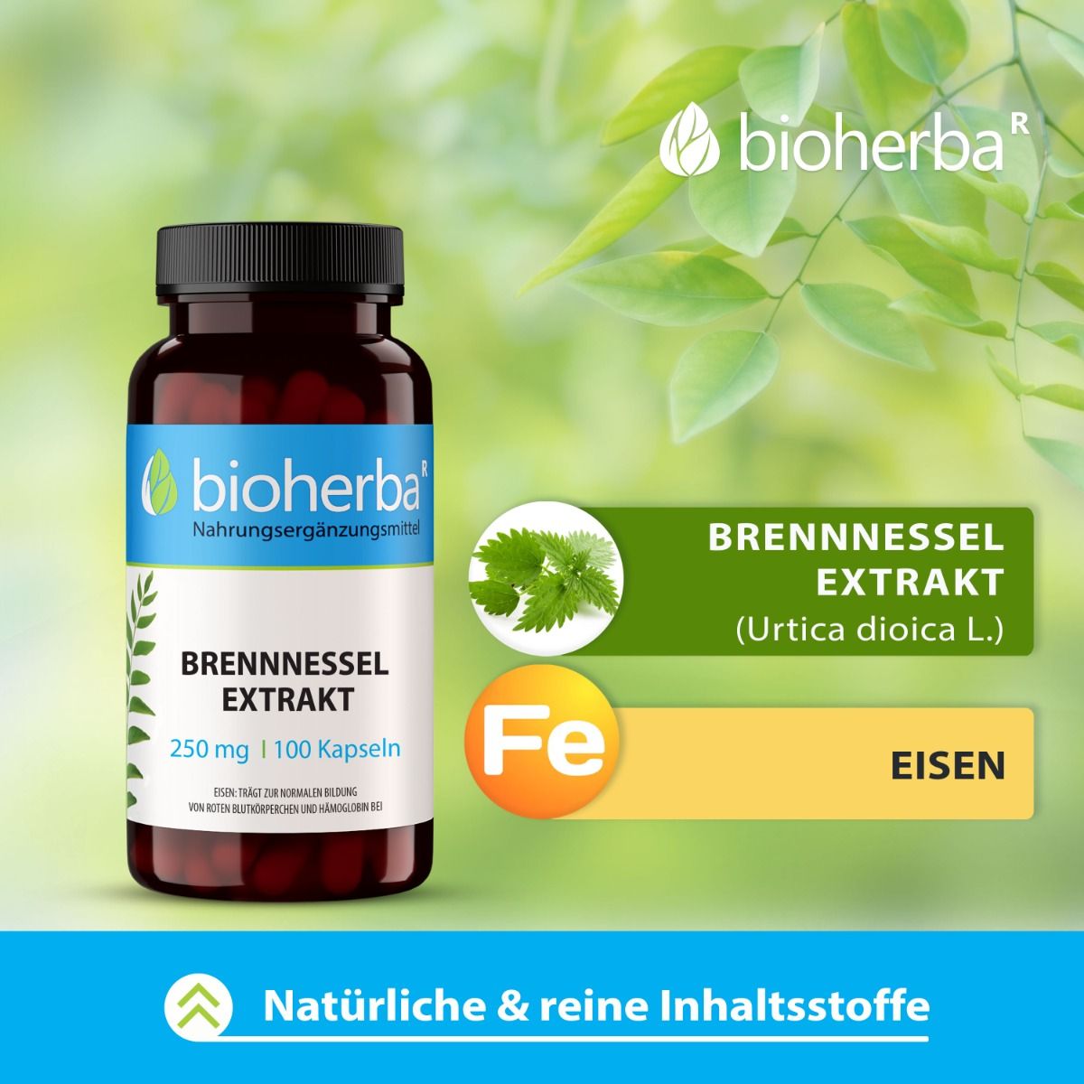 Braune Flasche mit schwarzen Deckel. Enthält Brennnessel Extrakt Kapseln. Marke: Bioherba. 250 mg, 100 Kapseln.