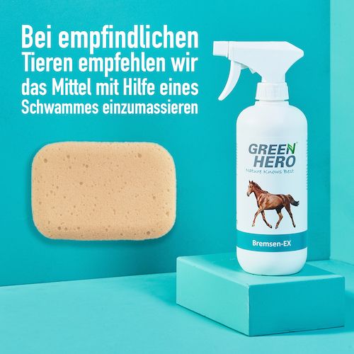 GreenHero Bremsen-Ex Kanister
