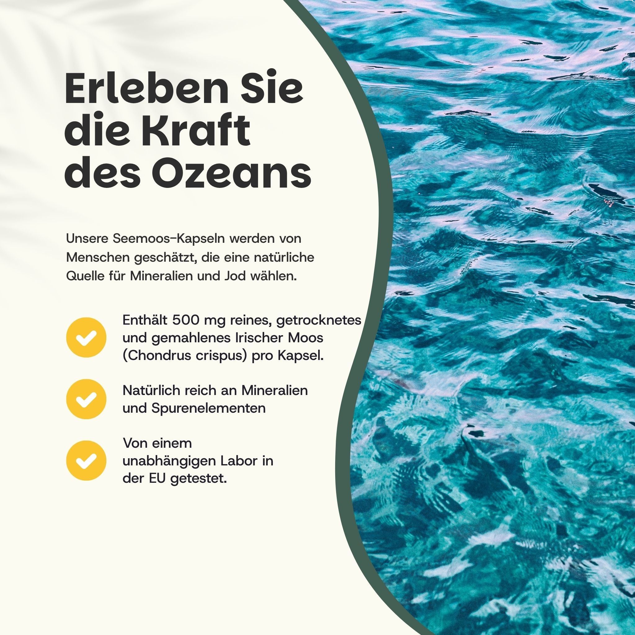Text mit Informationen über Sea Moss-Kapseln. Hintergrund mit Wasser. Gelbe Häkchen.