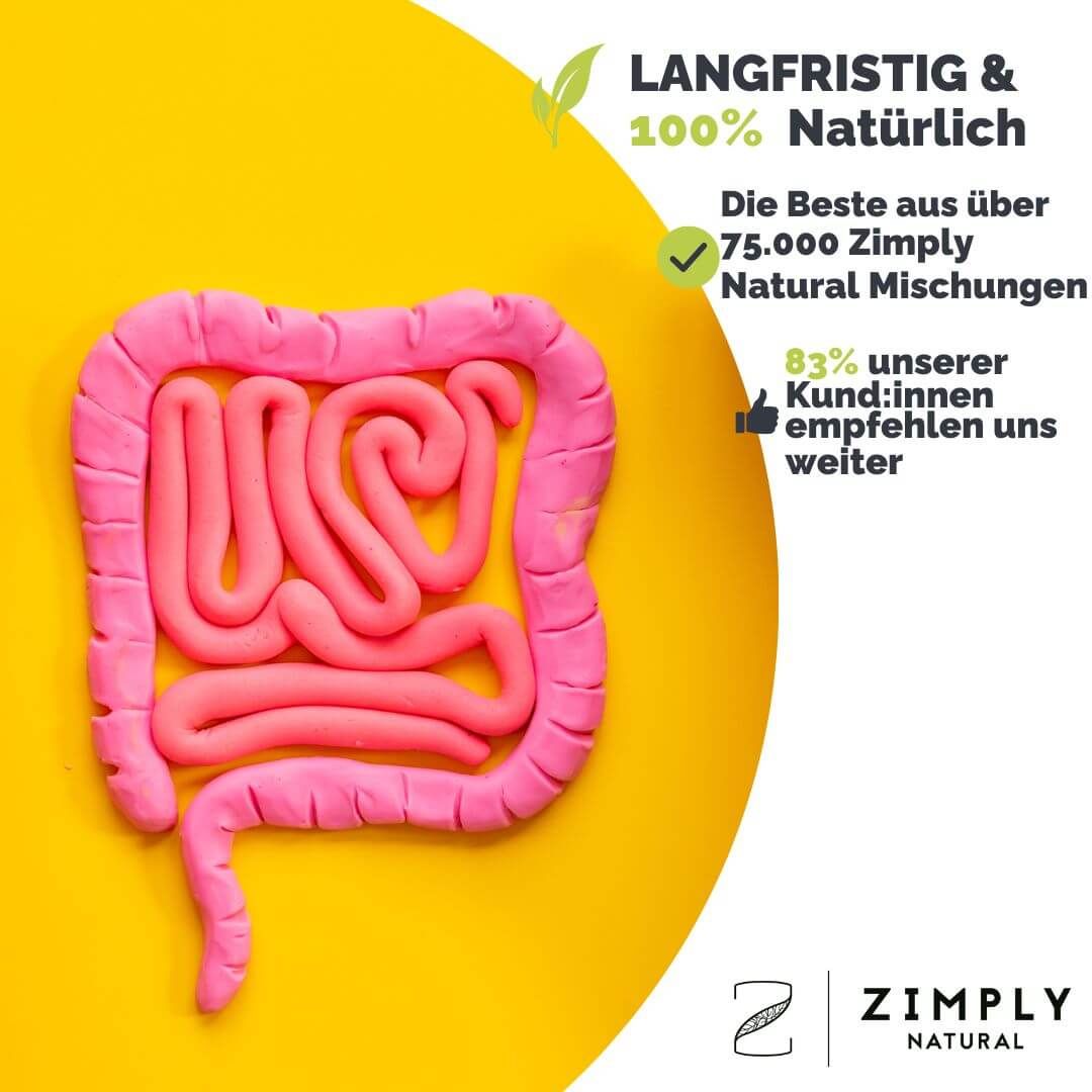 ZIMPLY NATURAL Darmpflege Komplex