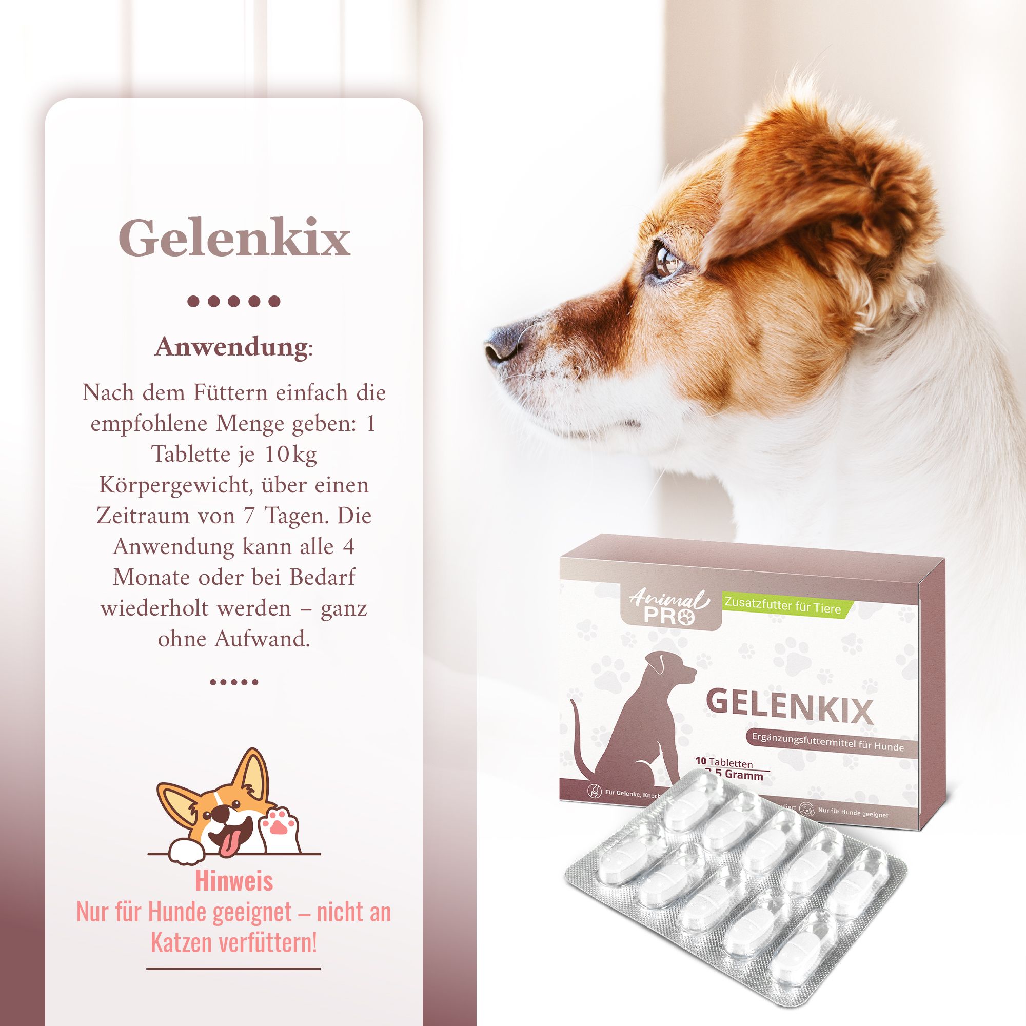 Animal Pro | Gelenkix