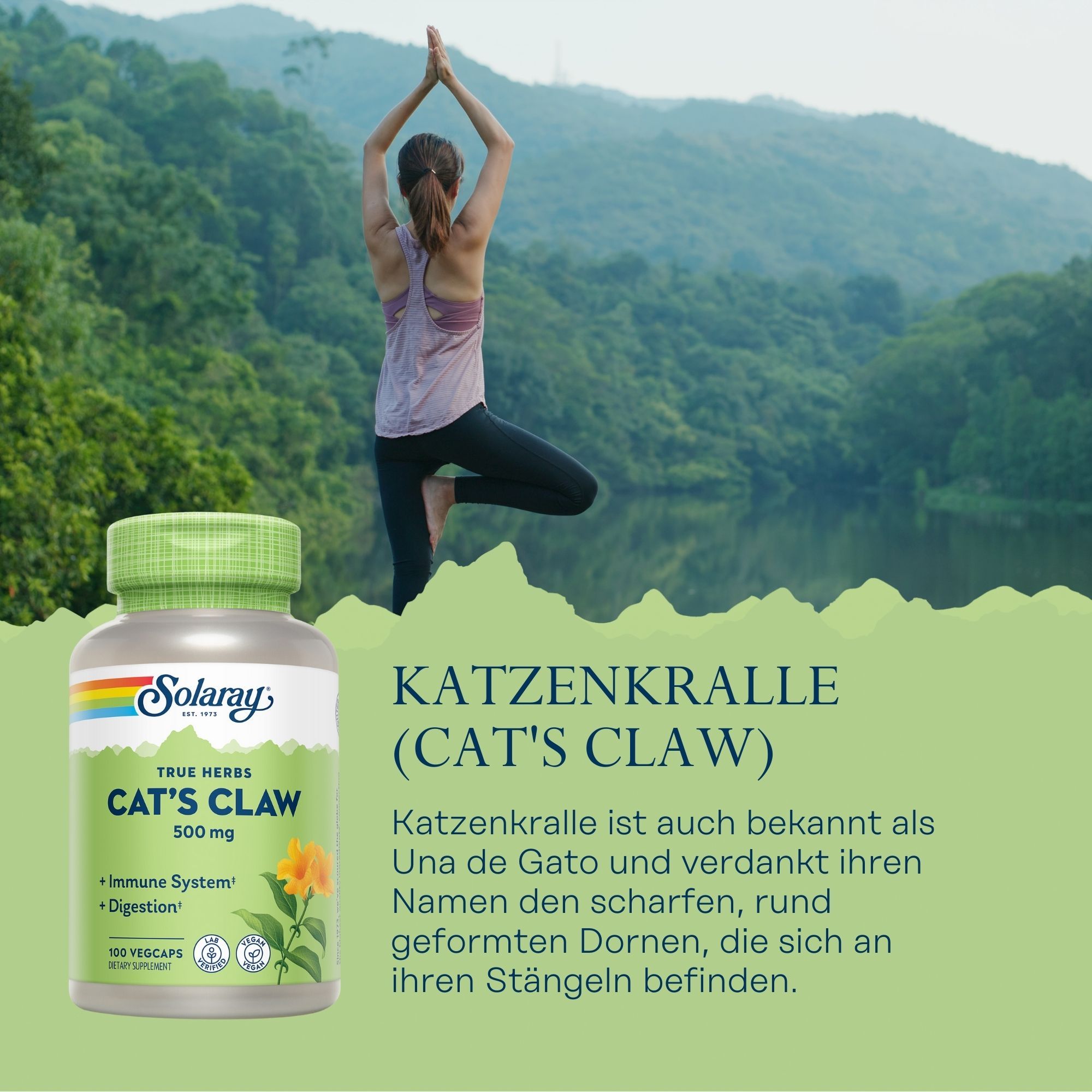 Solaray Katzenkralle-Kapseln, 500 mg, mit grüner Kappe. Aufschrift: True Herbs, Cat's Claw, Immune System + Digestion. Hintergrund: Frau beim Yoga.