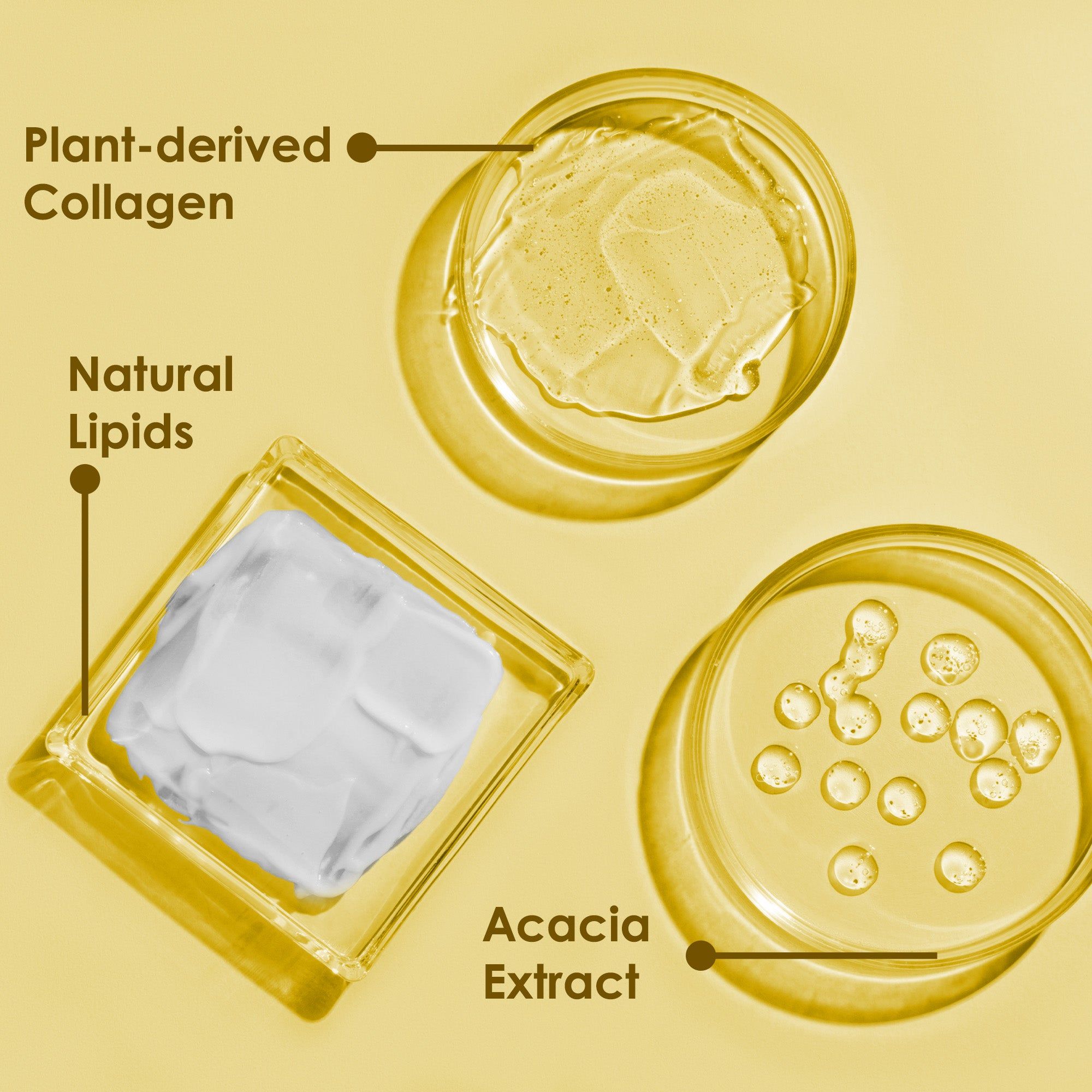 Drei Behälter mit Inhaltsstoffen: Plant-derived Collagen, Natural Lipids, Acacia Extract. Beschriftungen mit Pfeilen.
