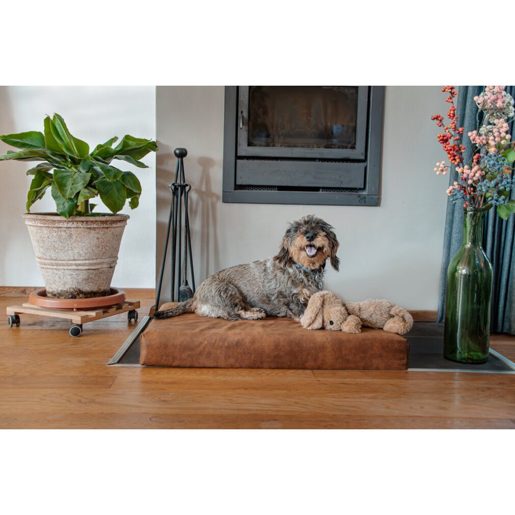 Let's Sleep Mellow Mattress Orthopädisches Bett xl Cognac