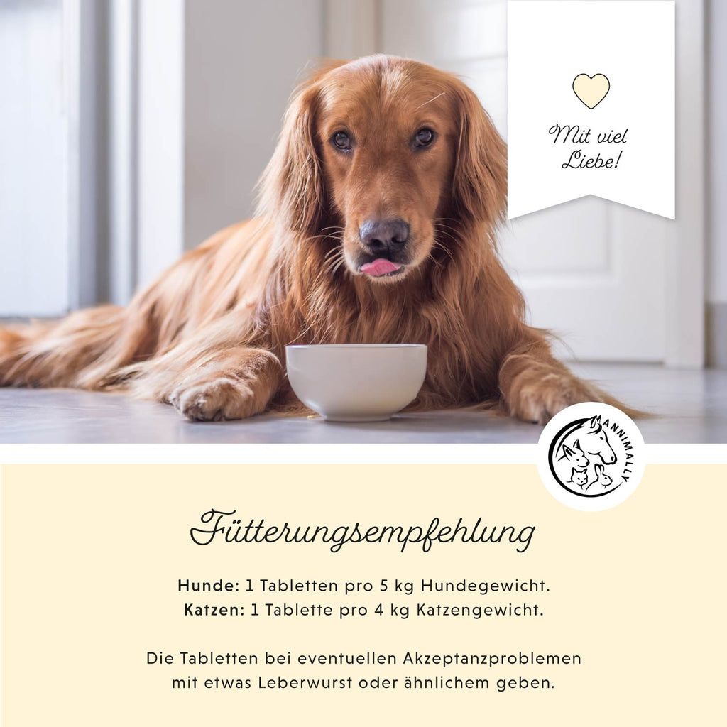 Text über Vitamin B-Mangel. Logo mit Tieren. Katze und Hund.