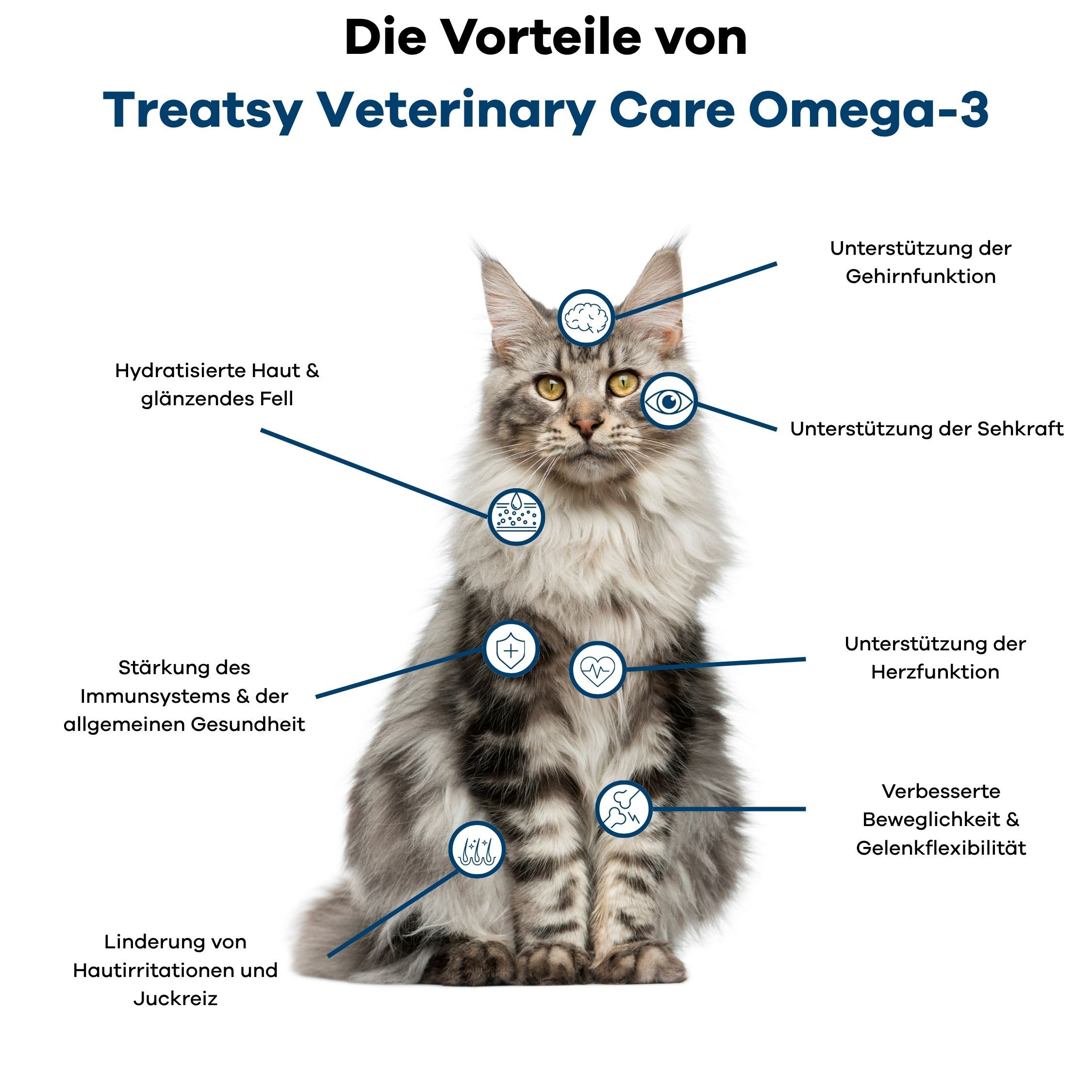 Vorteile von Omega-3 bei einer Katze: Haut, Fell, Gehirn, Augen, Immunsystem, Herz, Gelenke.