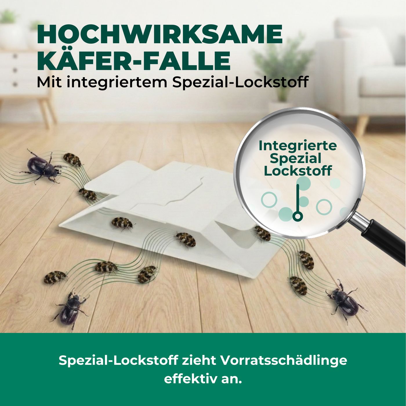 Käferfalle mit Spezial-Lockstoff. Käfer werden angezogen. Lupe zeigt integrierten Lockstoff. Text: Spezial-Lockstoff zieht Vorratsschädlinge effektiv an.