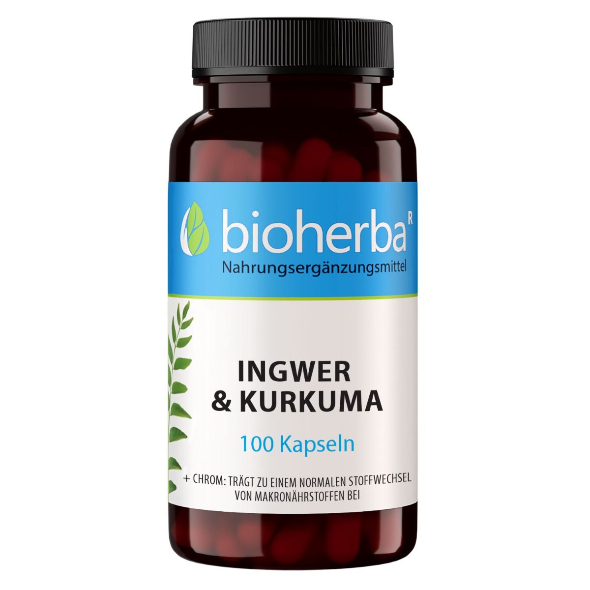 Braune Flasche mit schwarzen Deckel. Aufschrift: Ingwer & Kurkuma, 100 Kapseln. Marke: bioherba. Nahrungsergänzungsmittel.