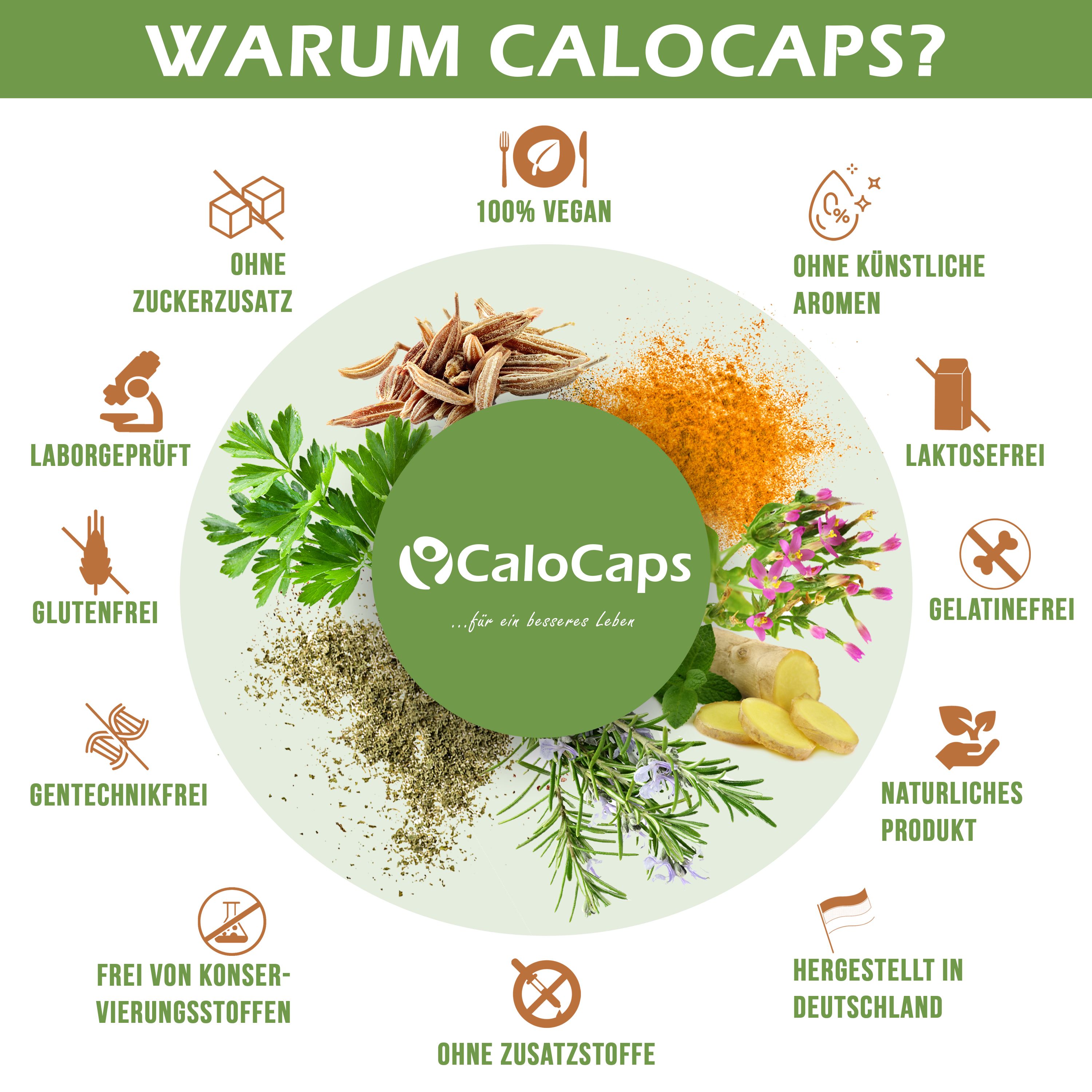 Kreisförmige Anordnung von Zutaten und Icons, CaloCaps Logo, Text: Warum CaloCaps?