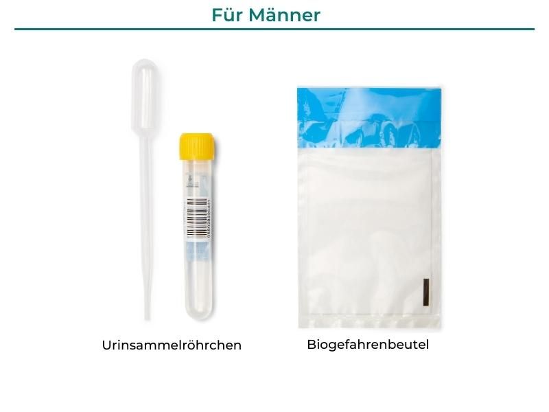 Urin-Sammelröhrchen, Pipette und Biohazard-Beutel. Bestandteile des Homed-IQ Chlamydien & Gonorrhoe Tests für Männer.