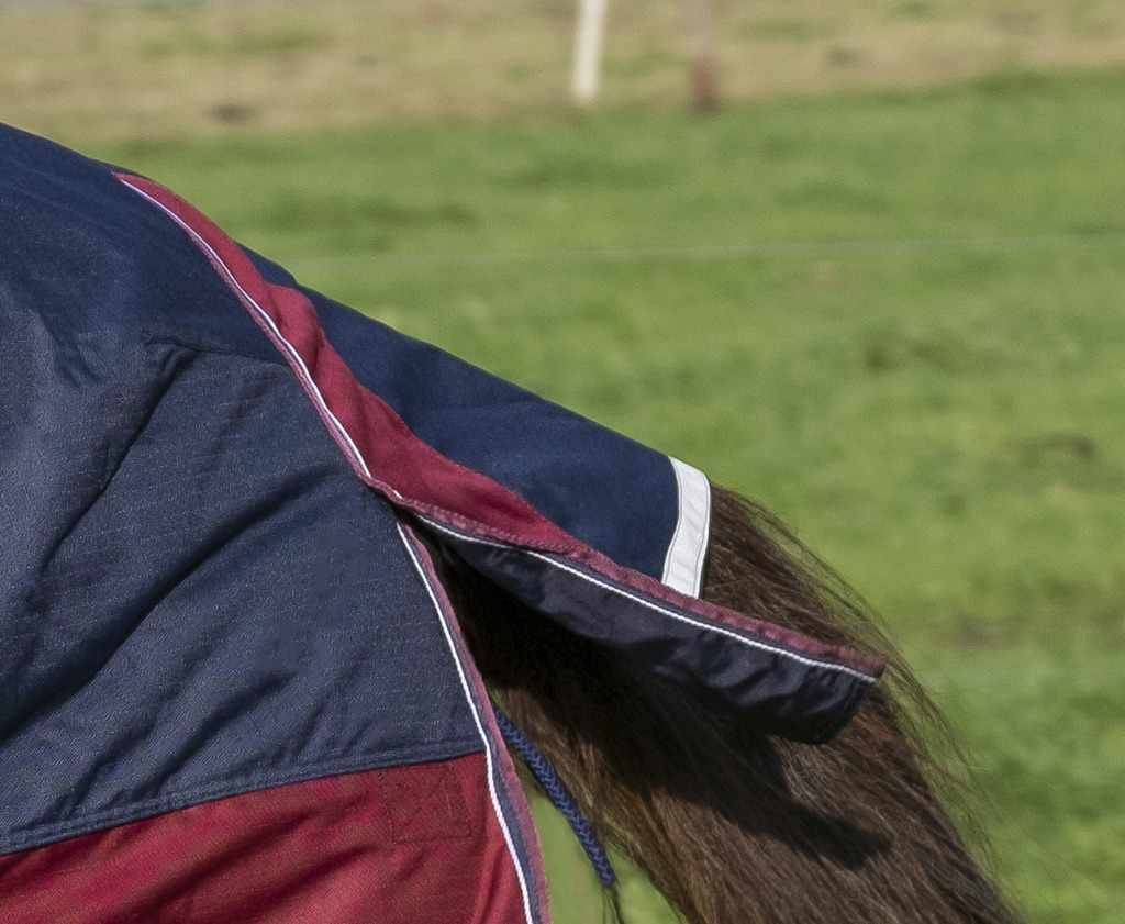 Equitheme Outdoordecke TYREX High Neck