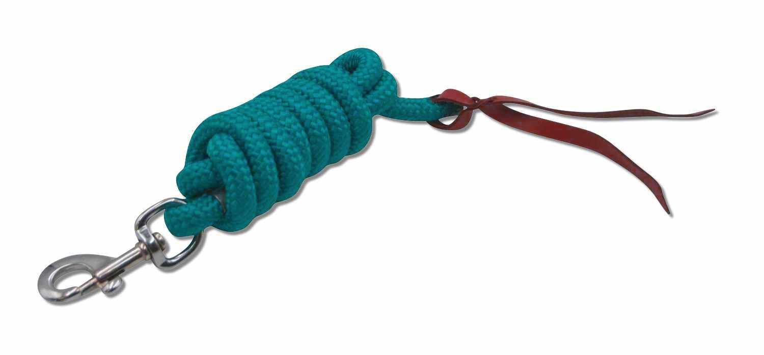 Türkisfarbener Führstrick mit Karabinerhaken und Lederriemen. Metallkarabiner.