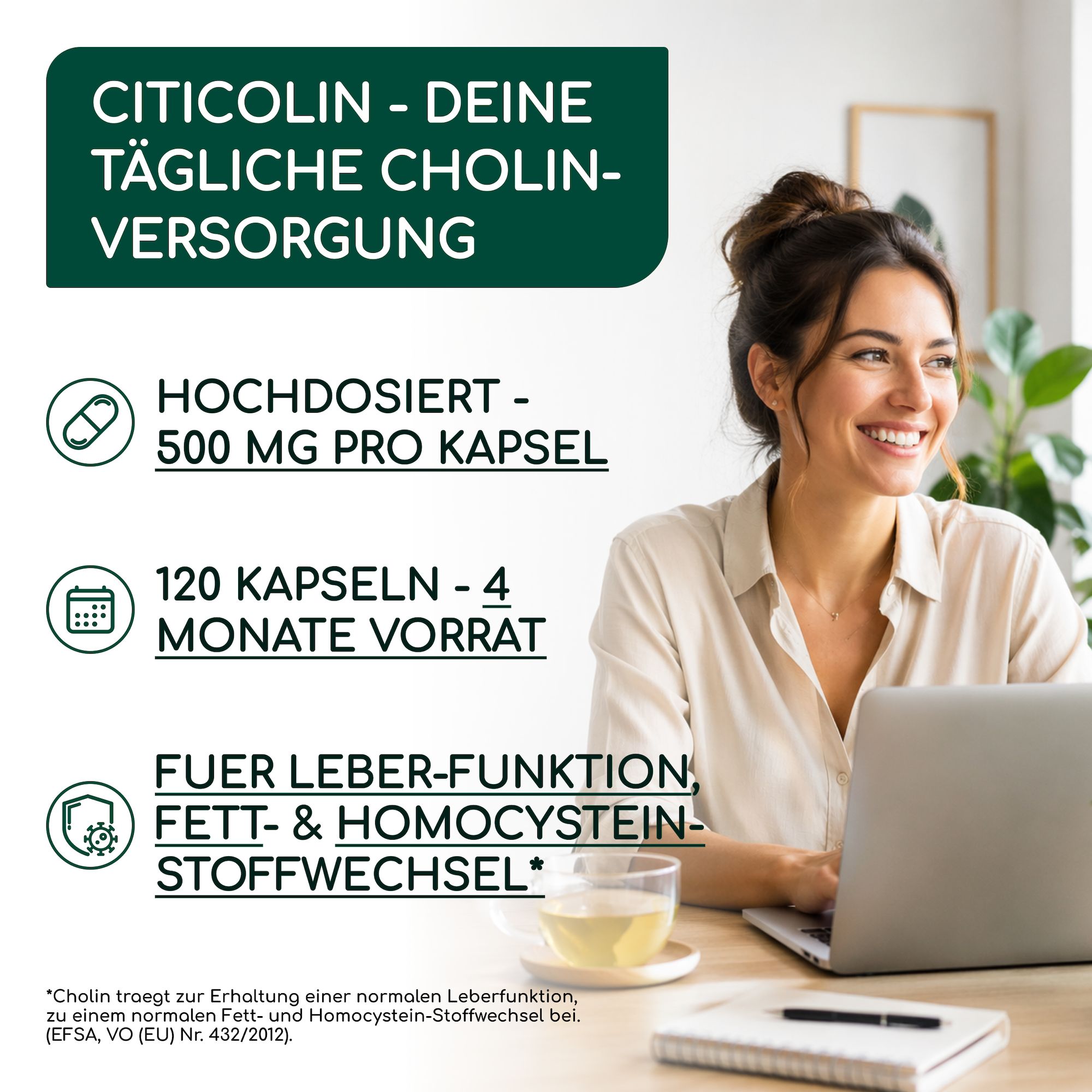 Cholin Citicolin Kapseln Hochdosiert 500 mg je Kapsel - Bioaktive Cholinform - RAIBU