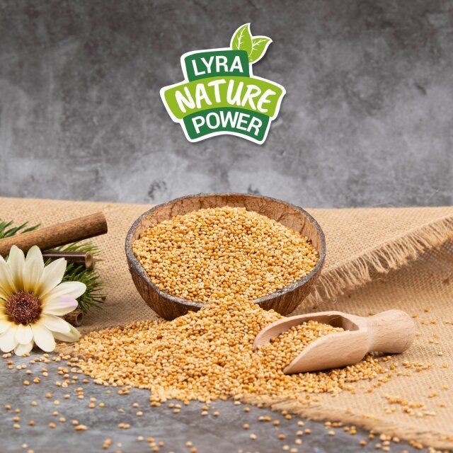 Hirse in Kokosnussschale mit Holzschaufel. Logo: Lyra Nature Power.