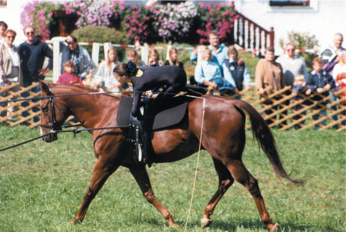 Braunes Pferd mit schwarzem Voltigiergurt und Turnerin. Zuschauer im Hintergrund.