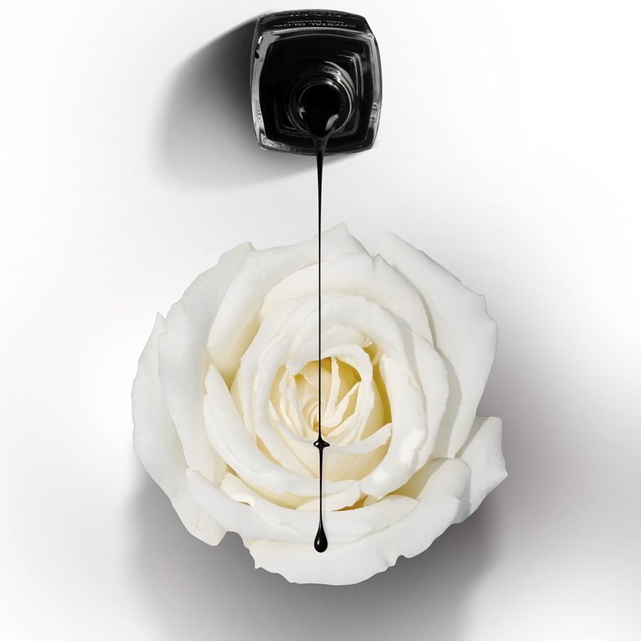 Schwarzer Nagellack tropft aus einer Flasche auf eine weiße Rose. Die Flasche ist oben zu sehen.