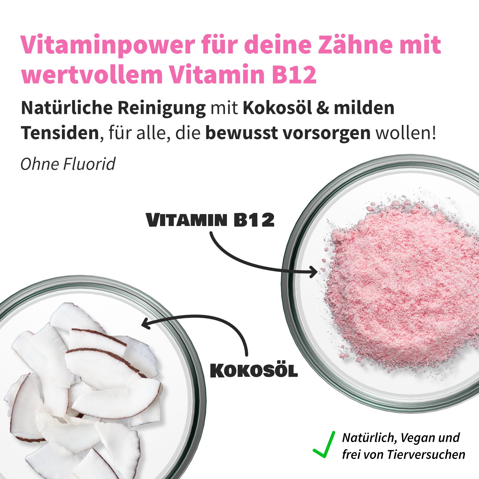 Zusammensetzung von Zahncreme-Inhaltsstoffen. Kokosöl und Vitamin B12 in Schalen. Text: Ohne Fluorid, natürlich, vegan.