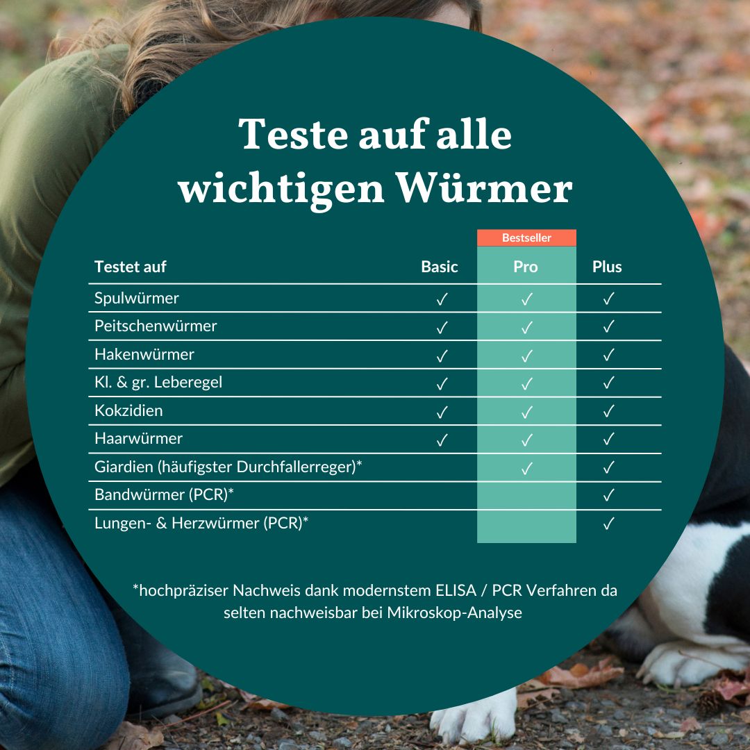 Wurmtest Pro Hund – inkl. Giardien