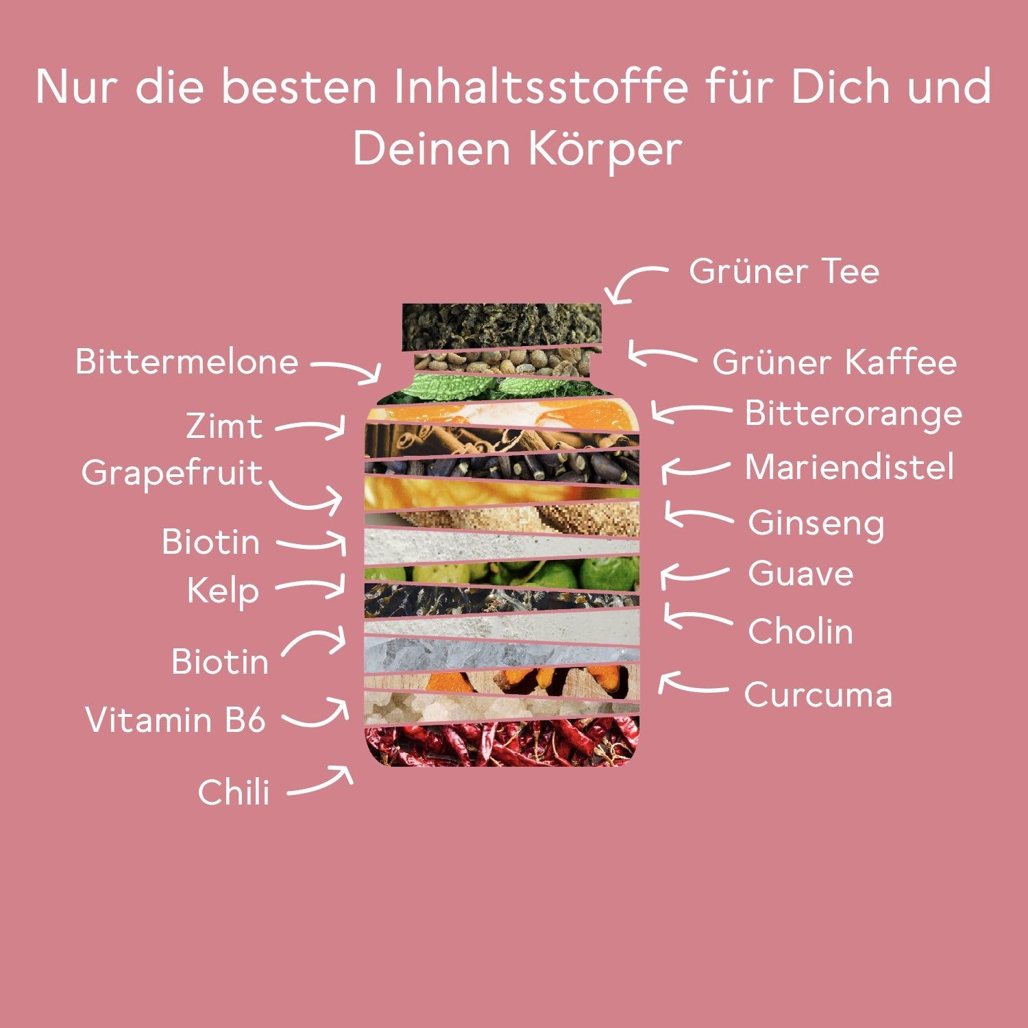 BitterLiebe® Plus Bitter Stoffwechsel* Komplex