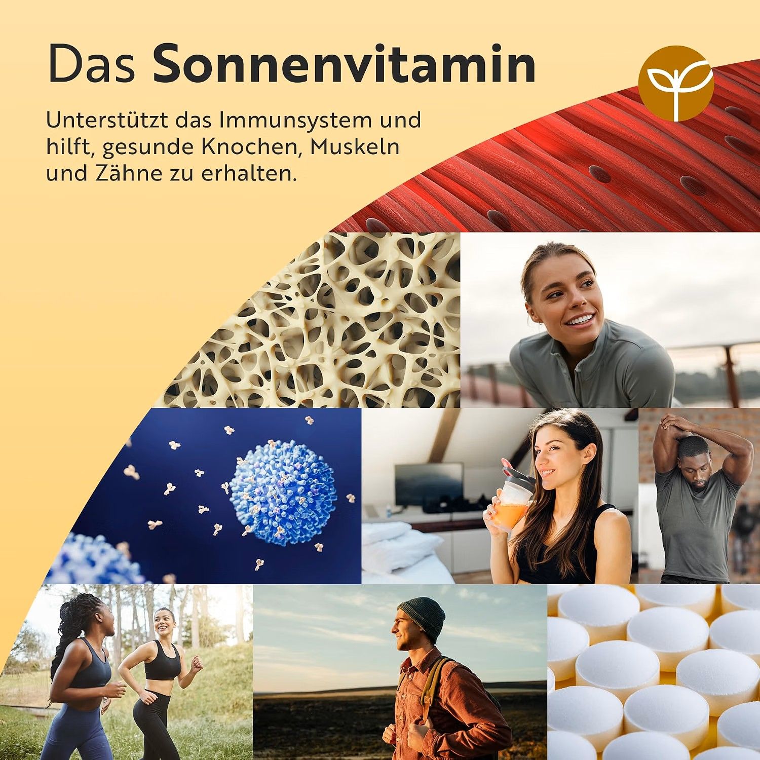 Collage mit Bildern von gesunden Knochen, Muskeln, Zähnen und aktiven Menschen.