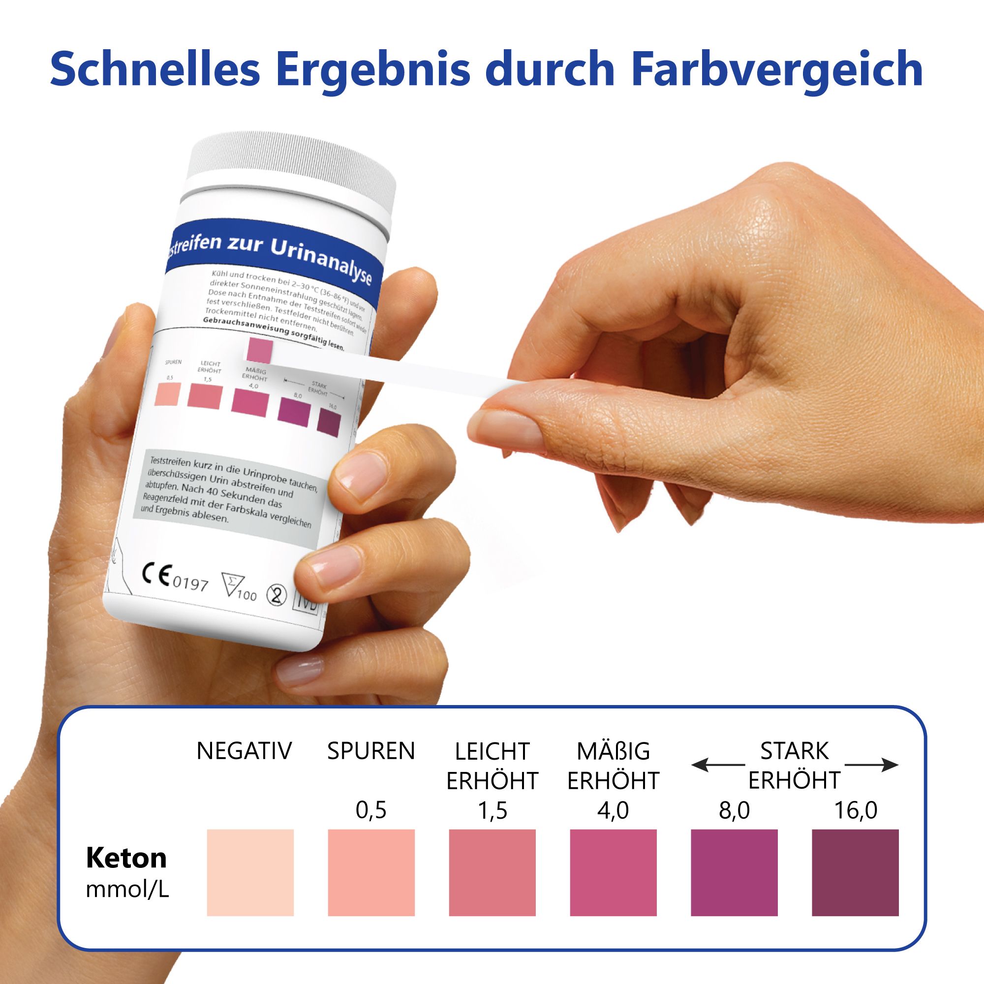 Hand hält Teststreifen. Farbskala zur Interpretation. Aufschrift: Reagenzstreifen zur Urinanalyse. Keton-Werte.