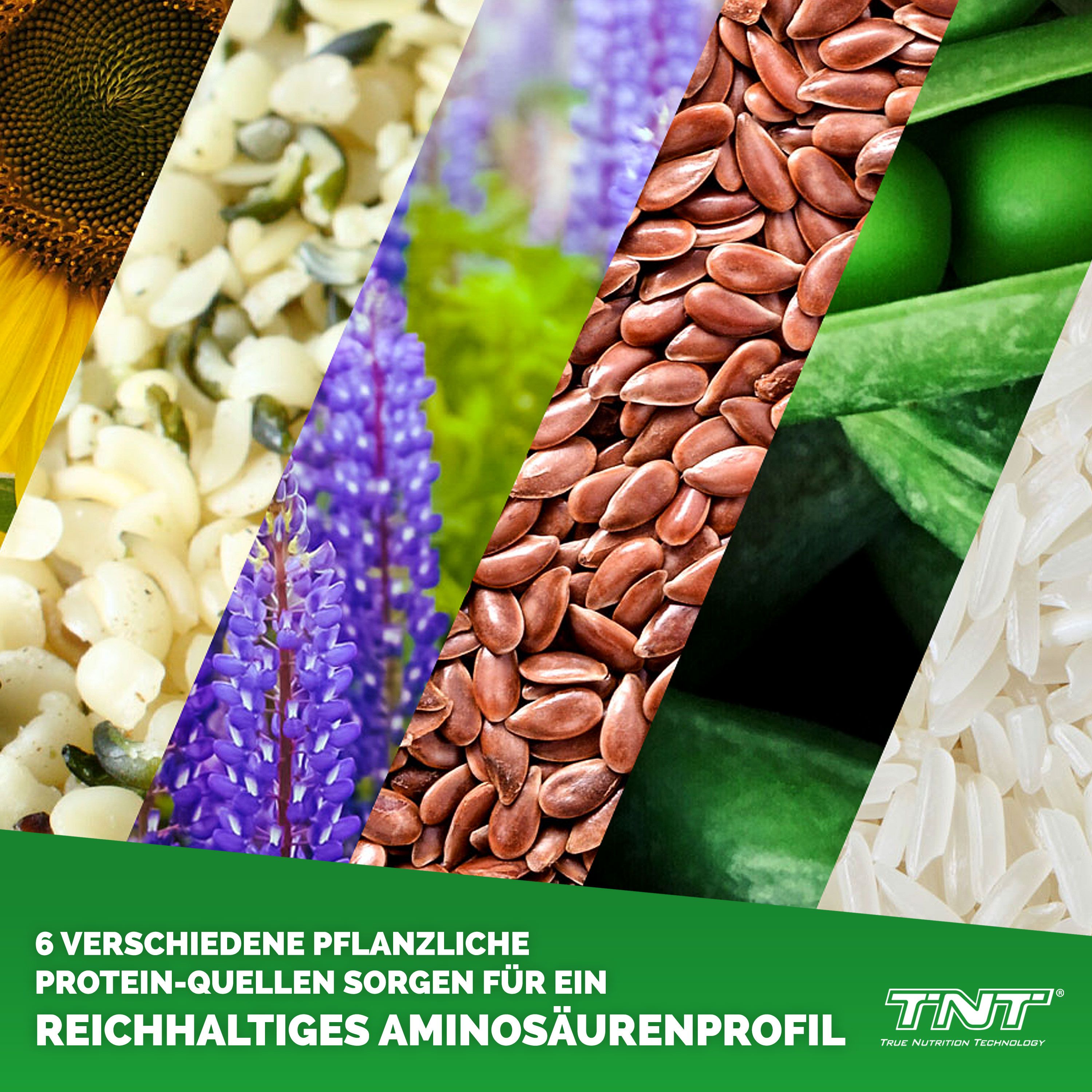 Collage aus verschiedenen pflanzlichen Proteinquellen: Sonnenblumenkerne, Hanfsamen, Lupinen, Leinsamen, Erbsen, Reis.