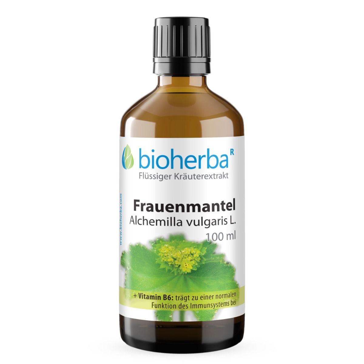 Braune Glasflasche mit schwarzem Deckel. Etikett mit Bioherba Frauenmantel, Alchemilla vulgaris L. Extrakt, 100 ml. Vitamin B6.