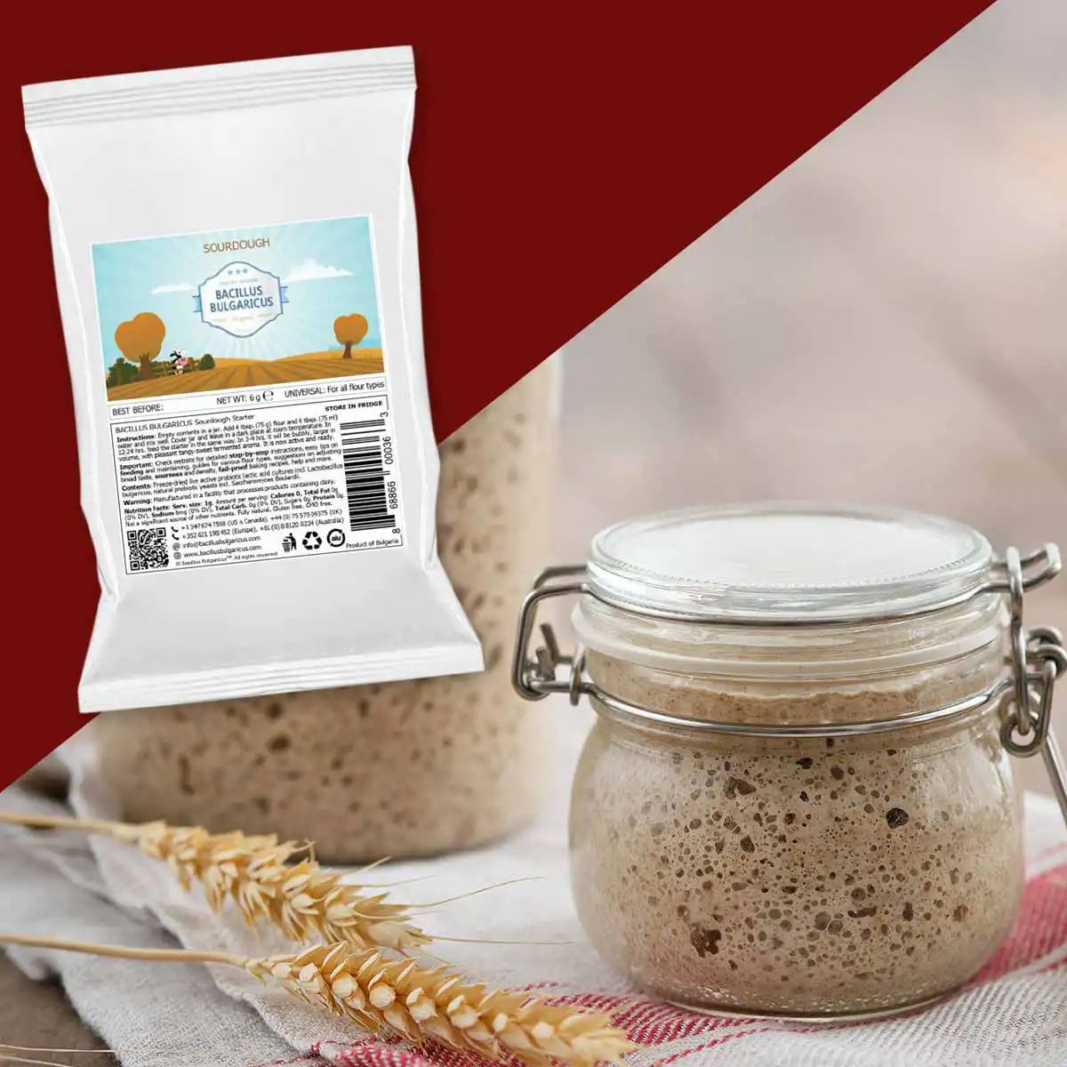 BACILLUS BULGARICUS Sauerteig-Starterkultur für echten Sauerteig
