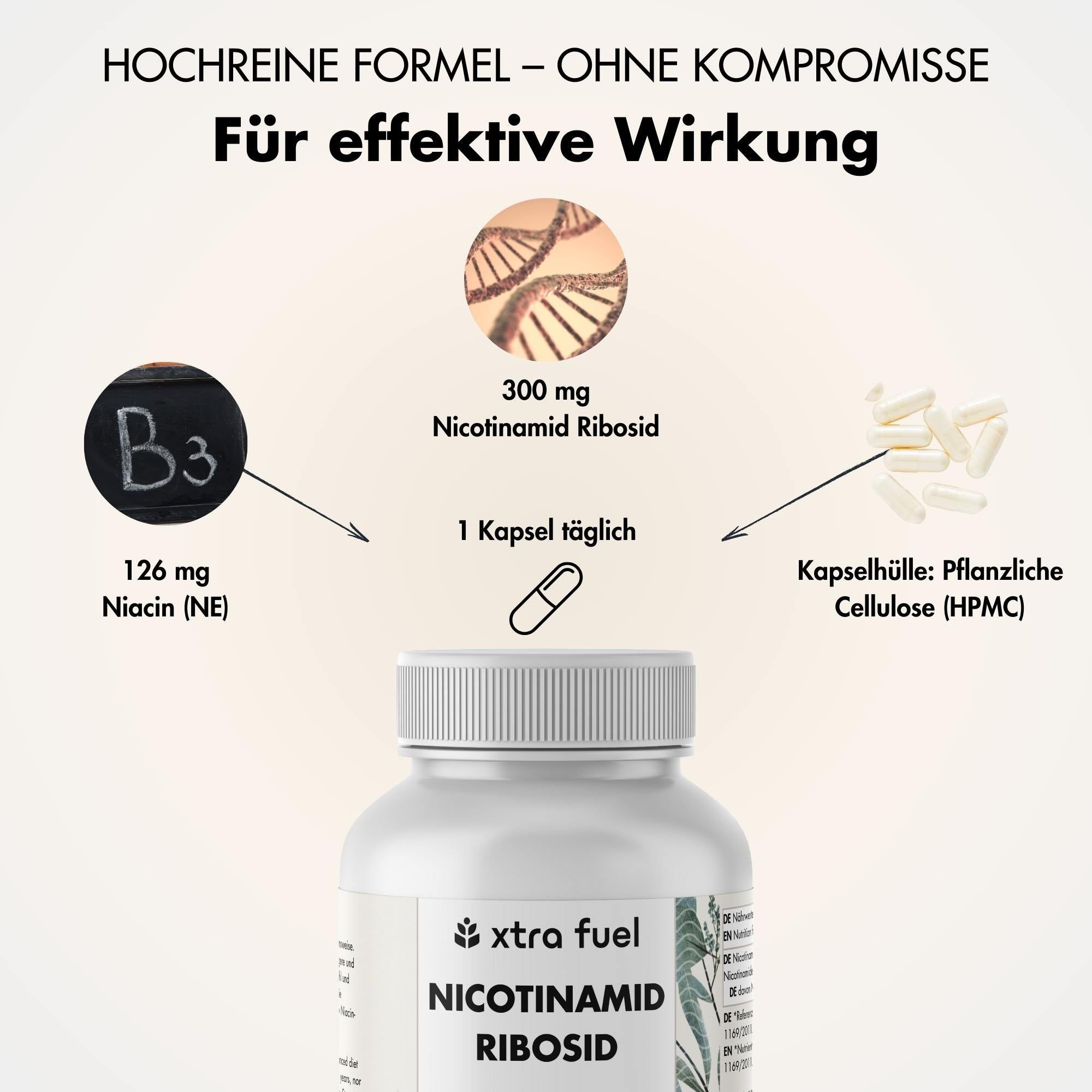 Grafische Darstellung von Inhaltsstoffen. Text: 300 mg Nicotinamid Ribosid, 126 mg Niacin (NE), 1 Kapsel täglich.