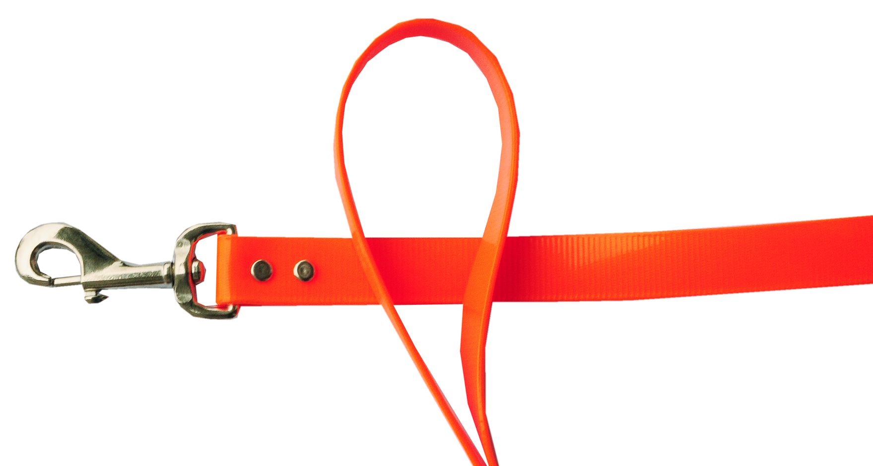 Weaver Hundehalsband Hunt & Sport Plus Premium Geschirrleder, 2,5 cm breit