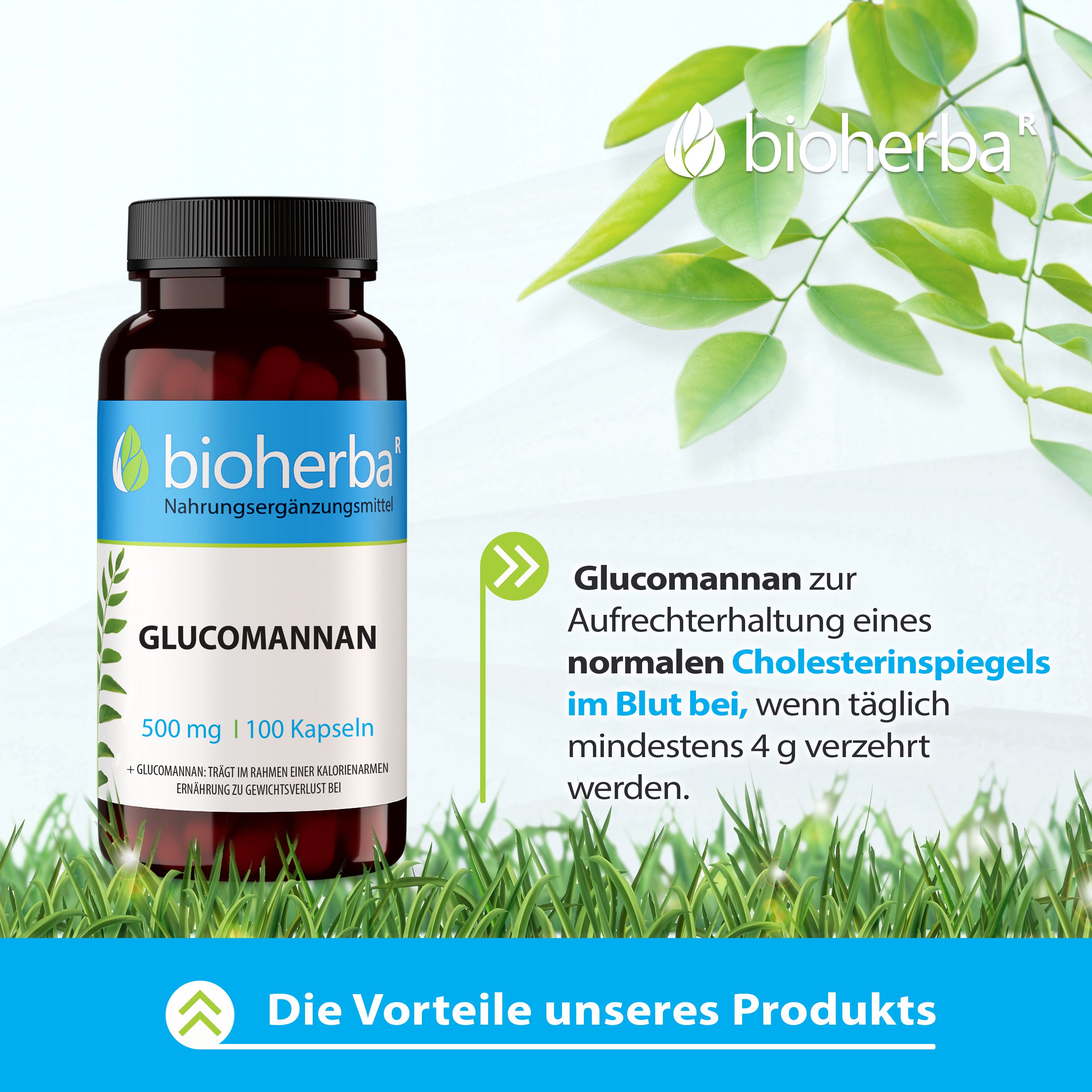 Braune Flasche mit schwarzen Deckel. Aufschrift: bioherba, Glucomannan, 500 mg, 100 Kapseln. Text über Cholesterinspiegel.