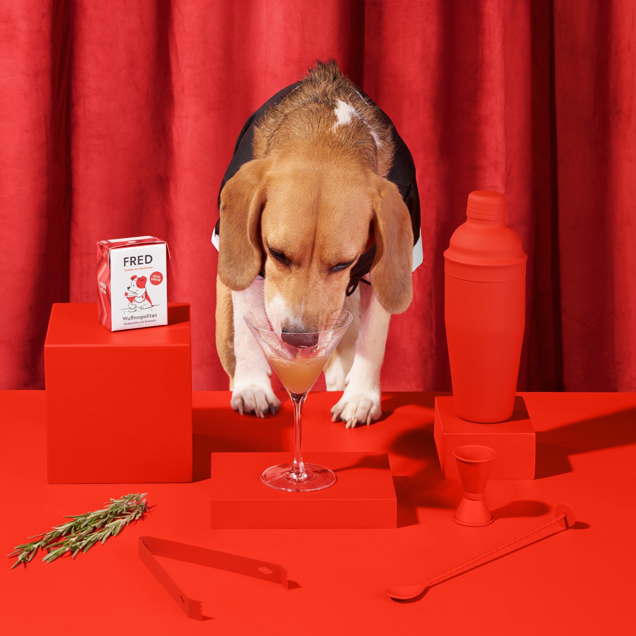 Hund trinkt aus Cocktailglas. Neben: Shaker, Messbecher, Zange, Löffel, Rosmarinzweig, Würfel und eine Packung "FRED Dog Drink". Roter Hintergrund.